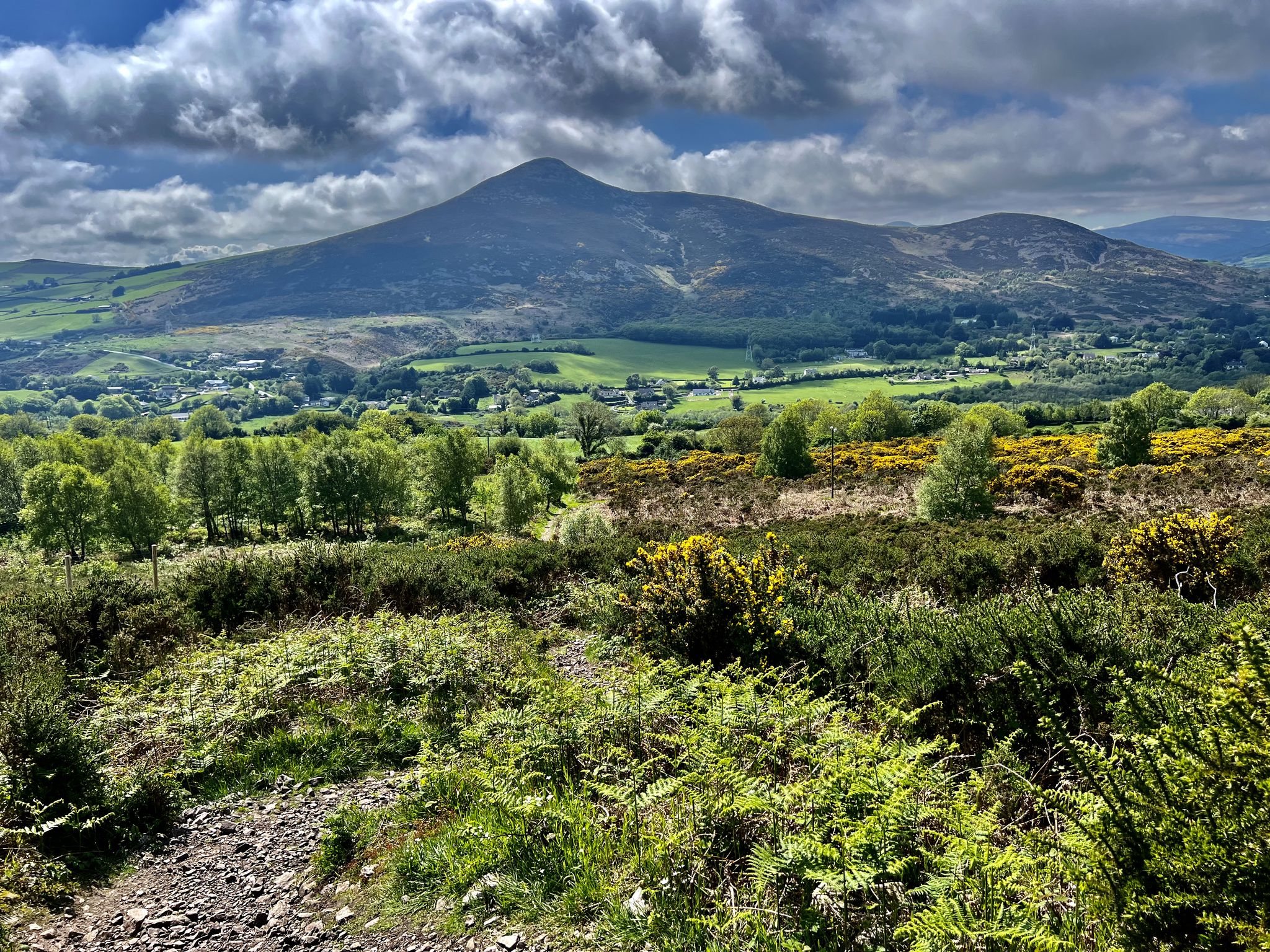 Super views of Great Sugar Loaf.