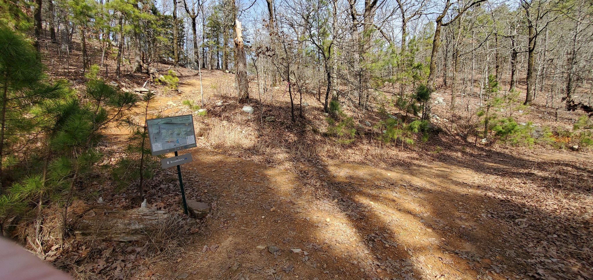 A trail sign on a dirt path in a sparse forest with sunlight filtering through. - Running loop from Rattlesnake Ridge Natural Area
