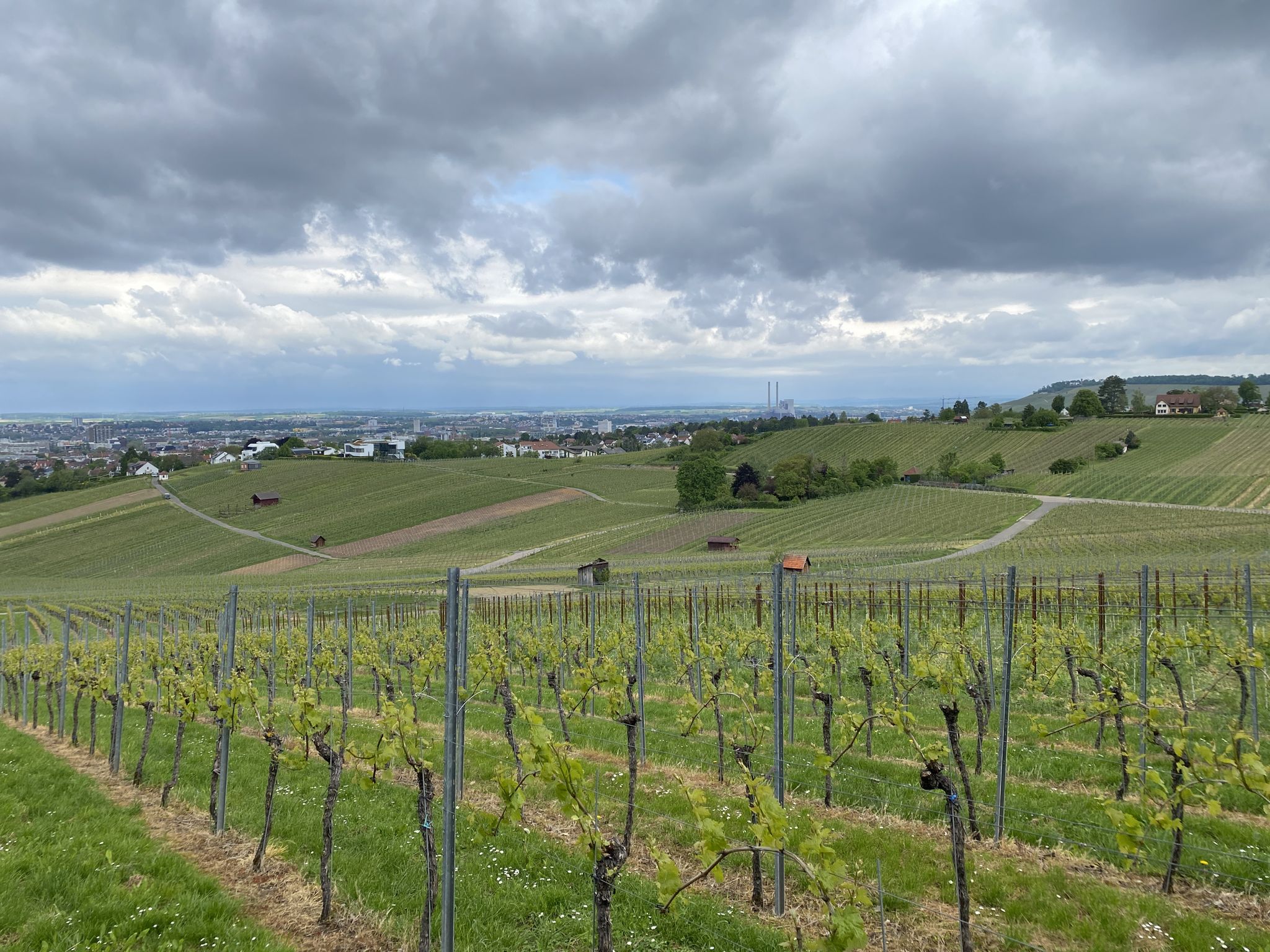 Heilbronn 