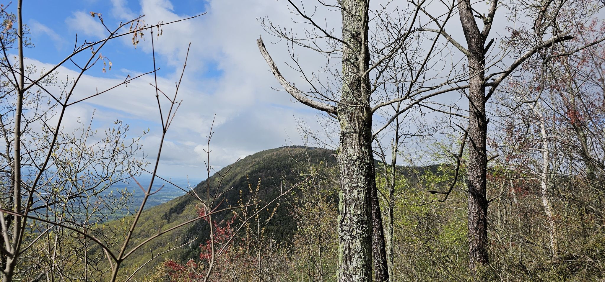 Bare trees frame a distant green mountain under a partly cloudy sky. - Gahuti, West Overlook and Stone Tower Loop