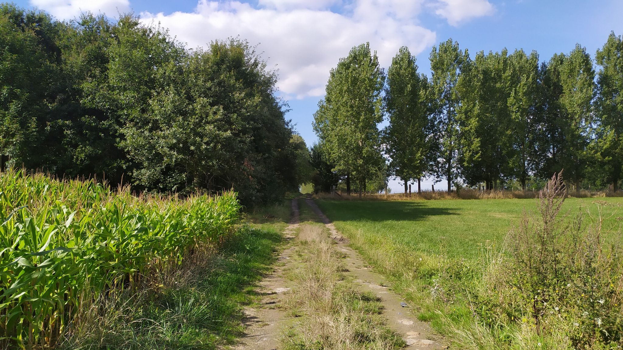 Nature, on ne s'en lasse pas 😊.