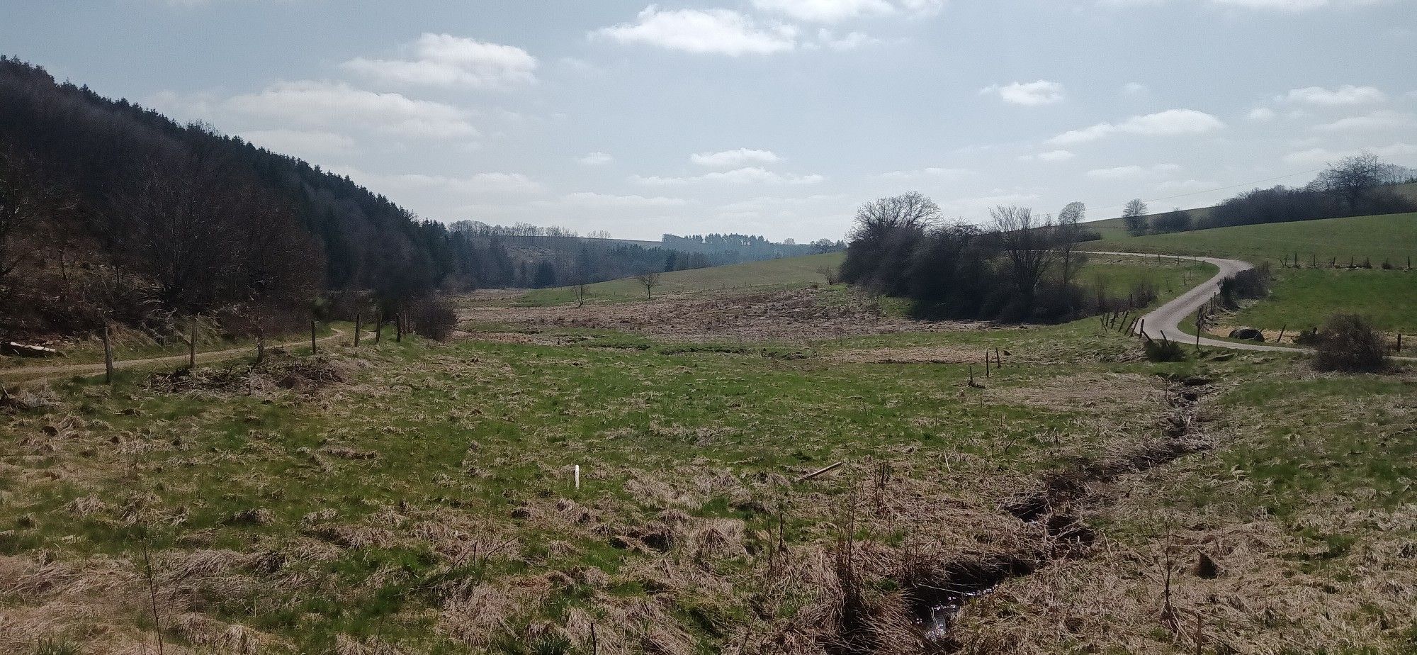 prachtig Natuurzicht