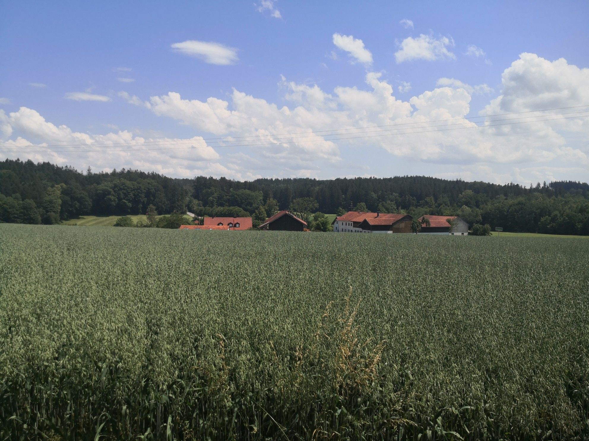 Blick auf Kaltenbach