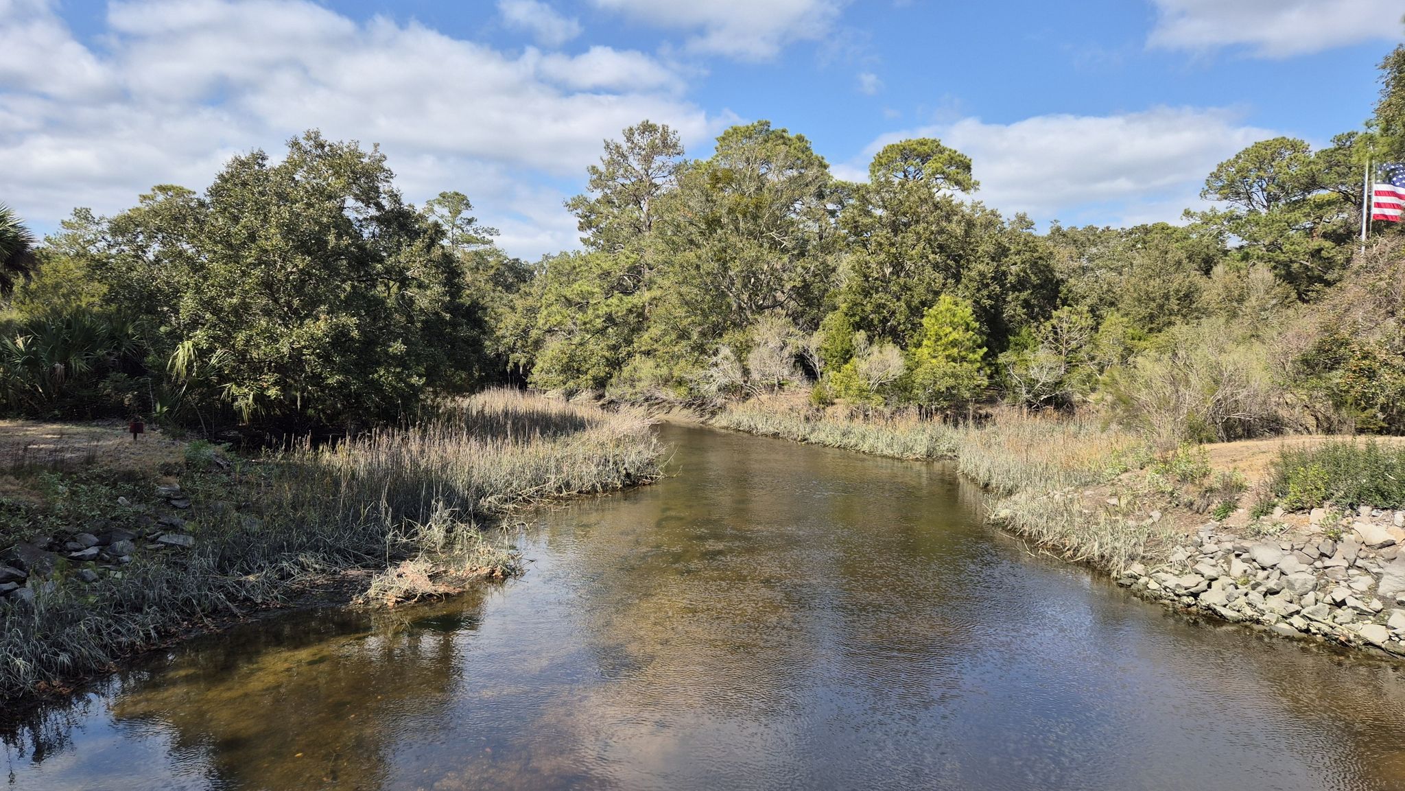 A calm river flows through lush green banks under a bright sky. - Sea Pines Forest Preserve