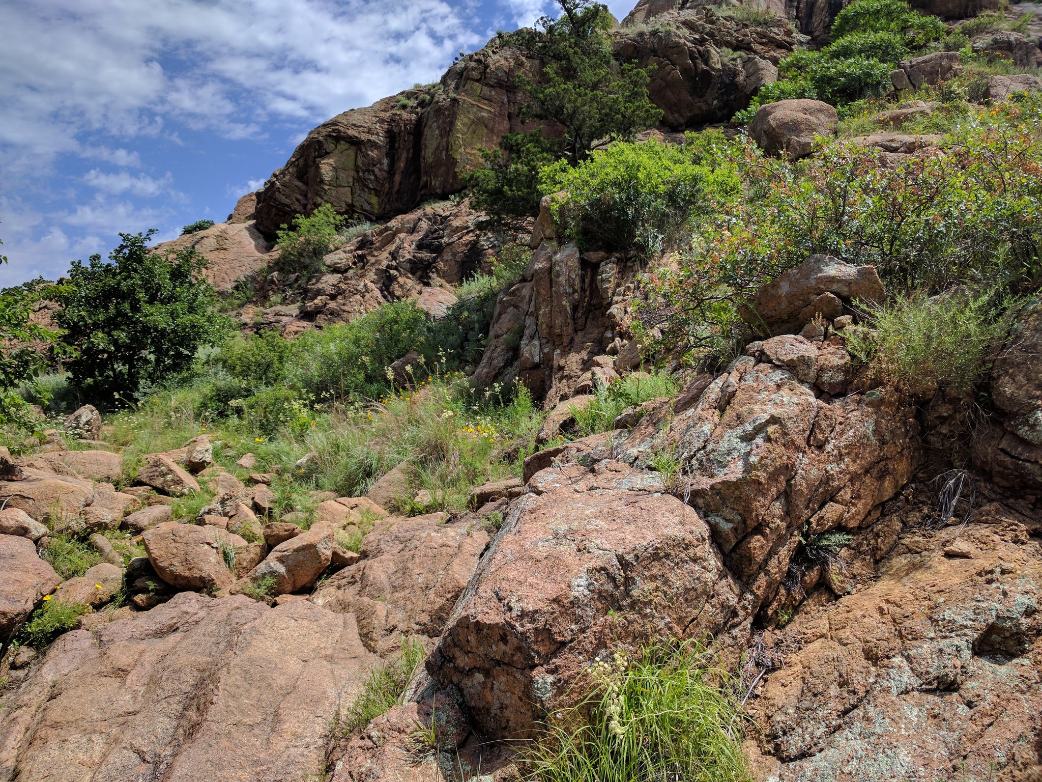 Sunny rocky hillside with green bushes and trees under a blue sky. - Charon's Garden Trail