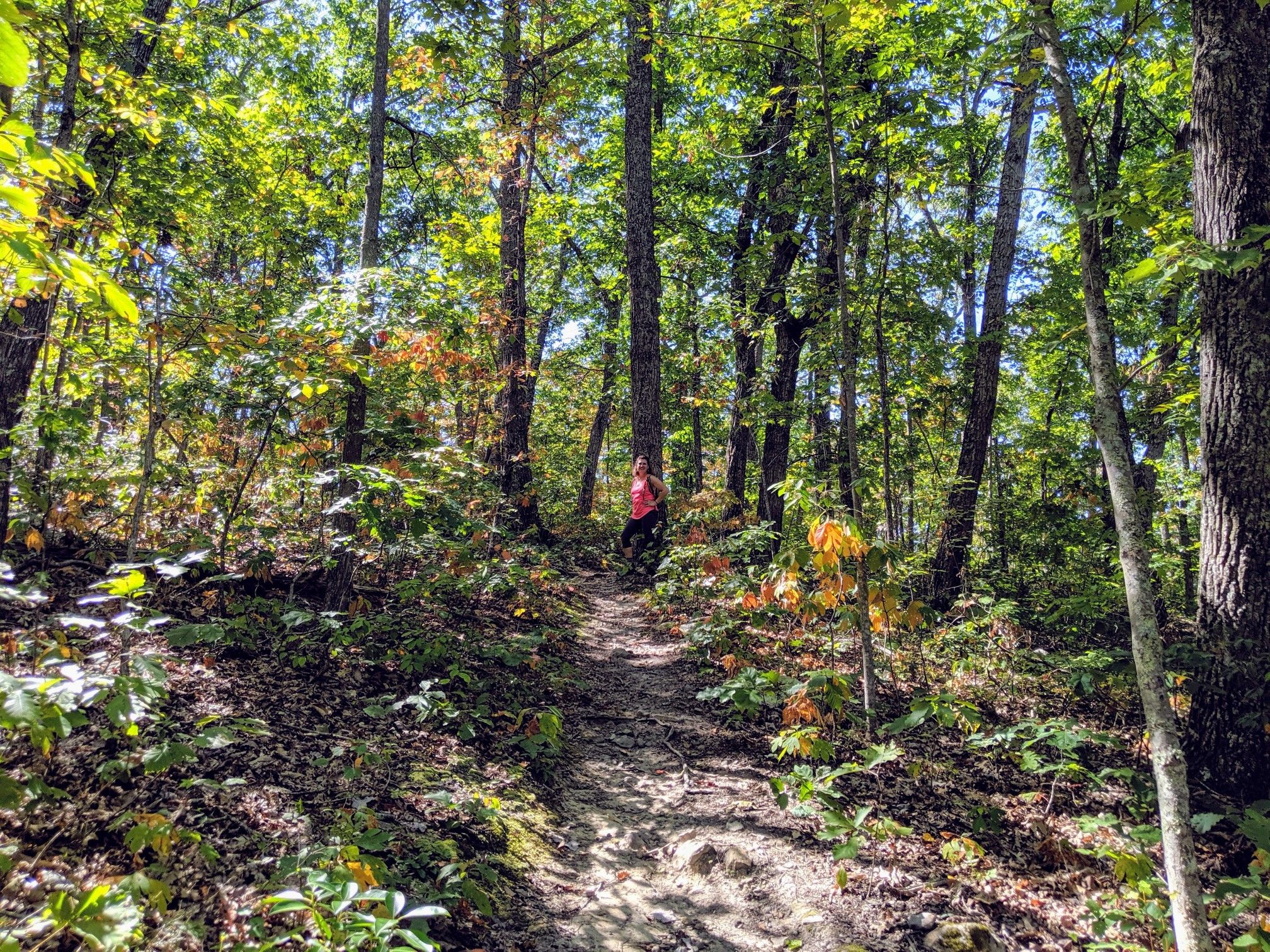 Person in pink shirt walking on a sun-dappled forest path. - Furnace Mountain Trail