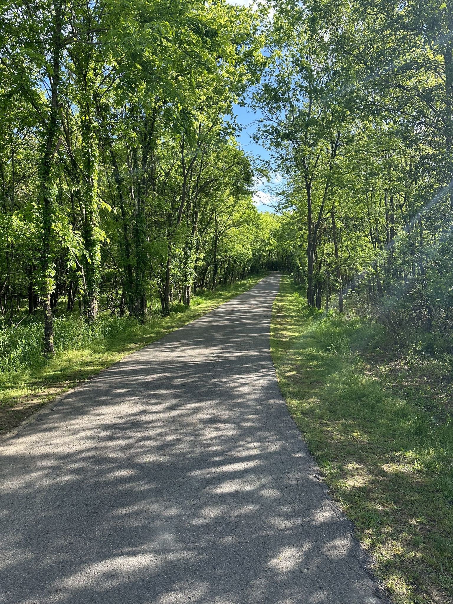 Paved path through a sunlit tunnel of vibrant green trees. - Running loop from Inglewood