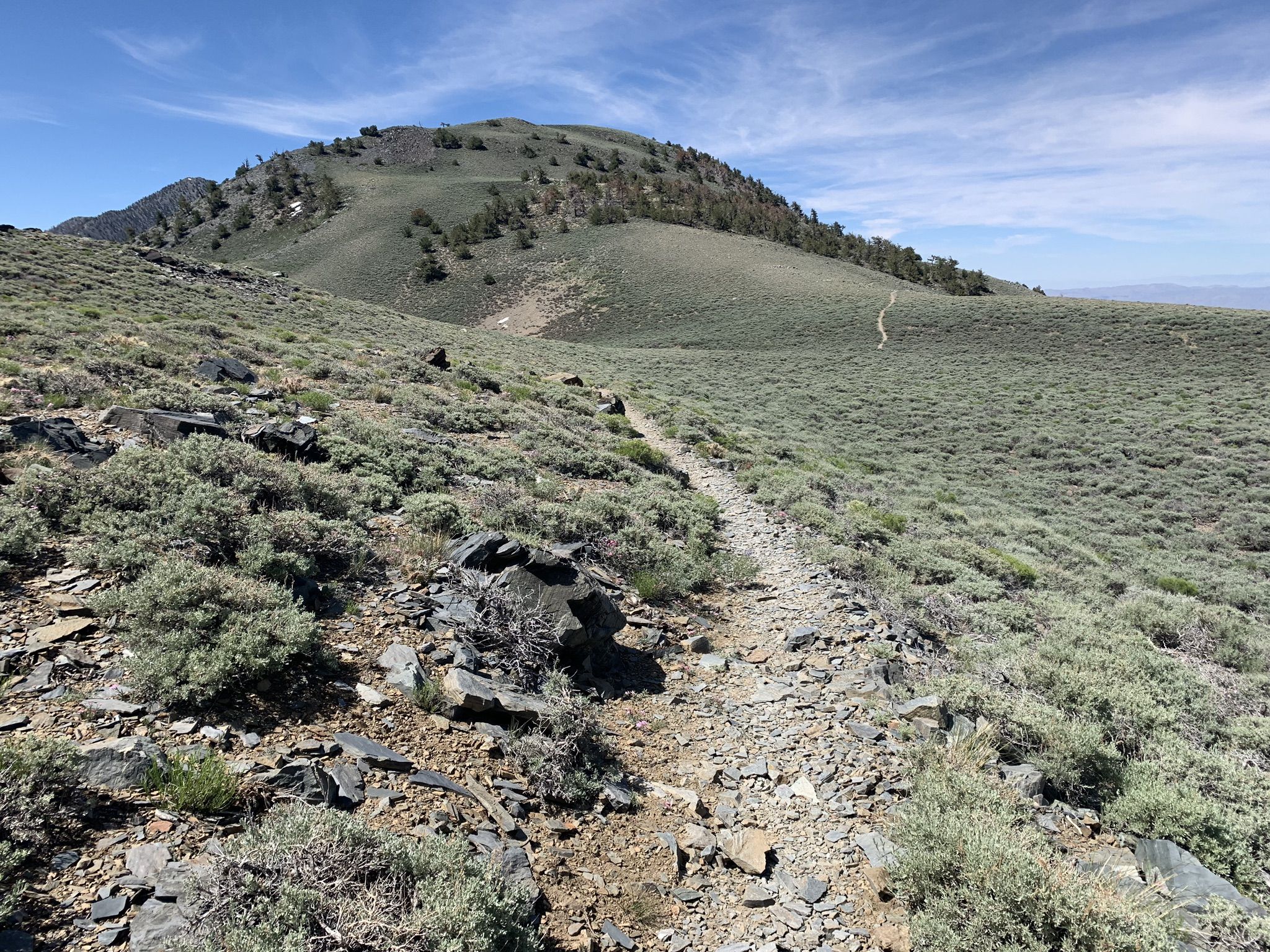 Winding dirt trail through grassy hills towards a distant peak. - Telescope Peak Trail