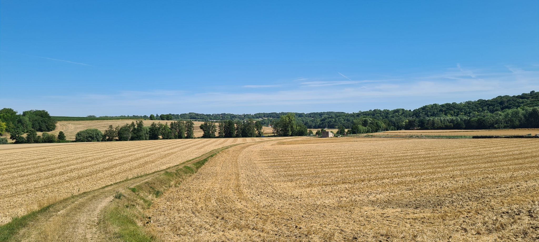 3km