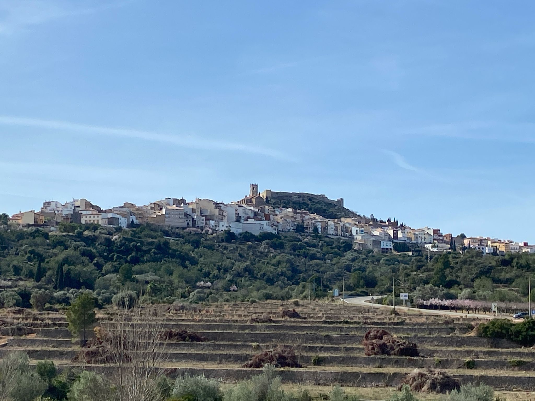 Cervera del Maestre