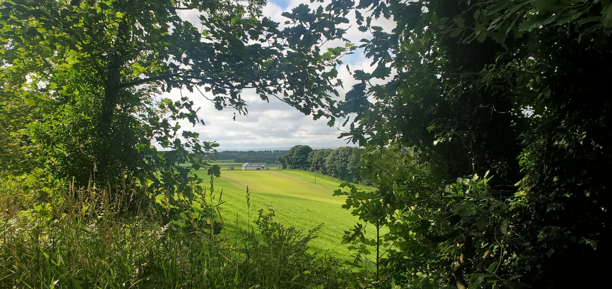 End of the woodland walk