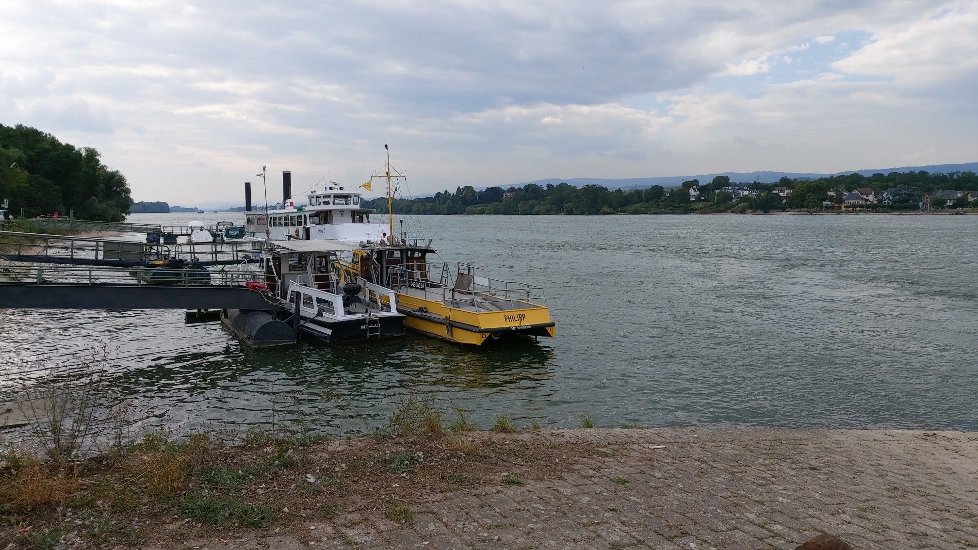 Rhein bei Mainz