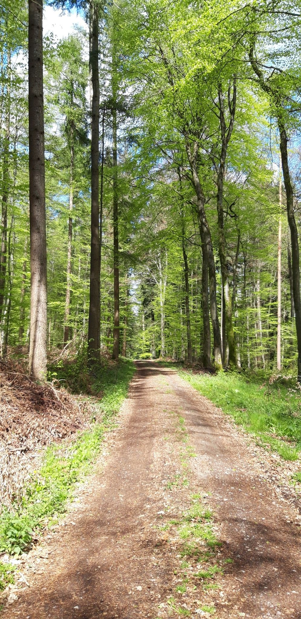 wandern 