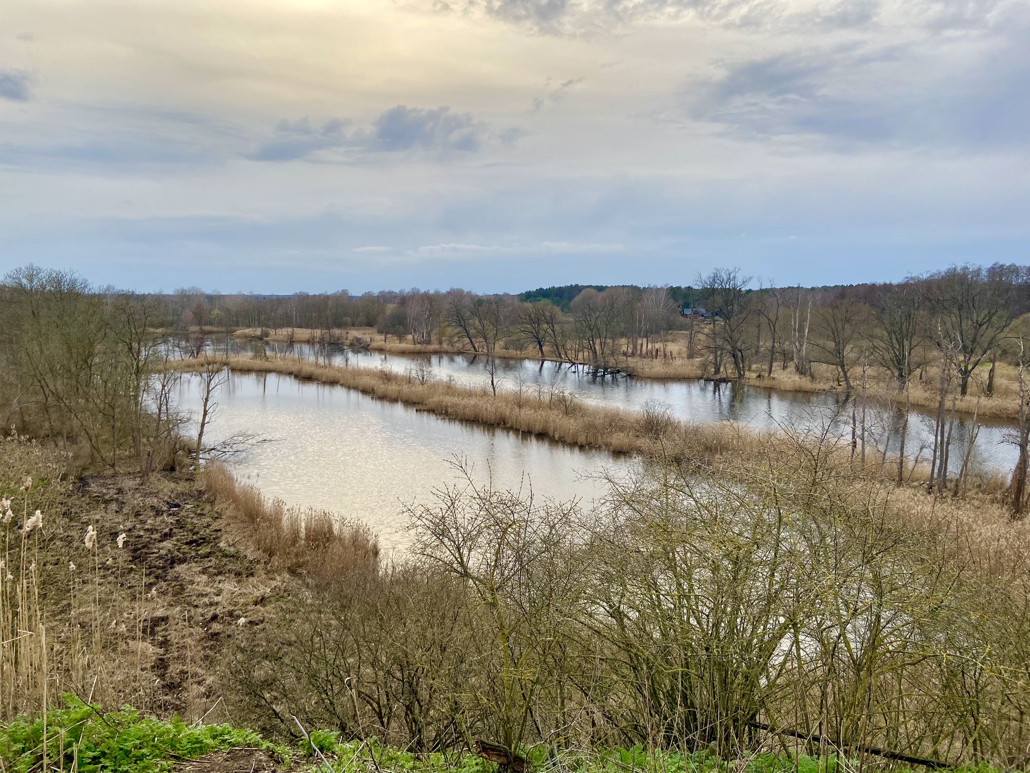 Köppchensee im Tegeler Fließ