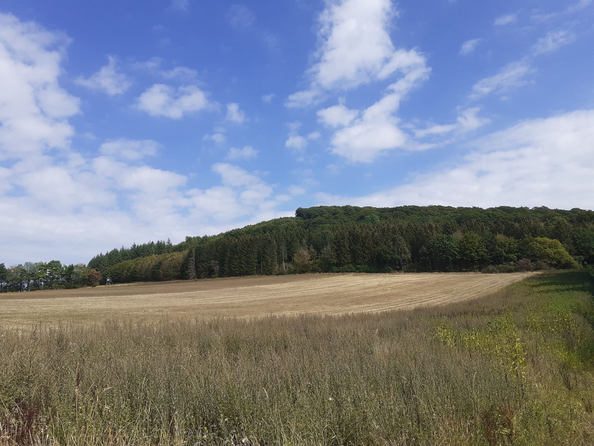Döhmbergblick andere Seite