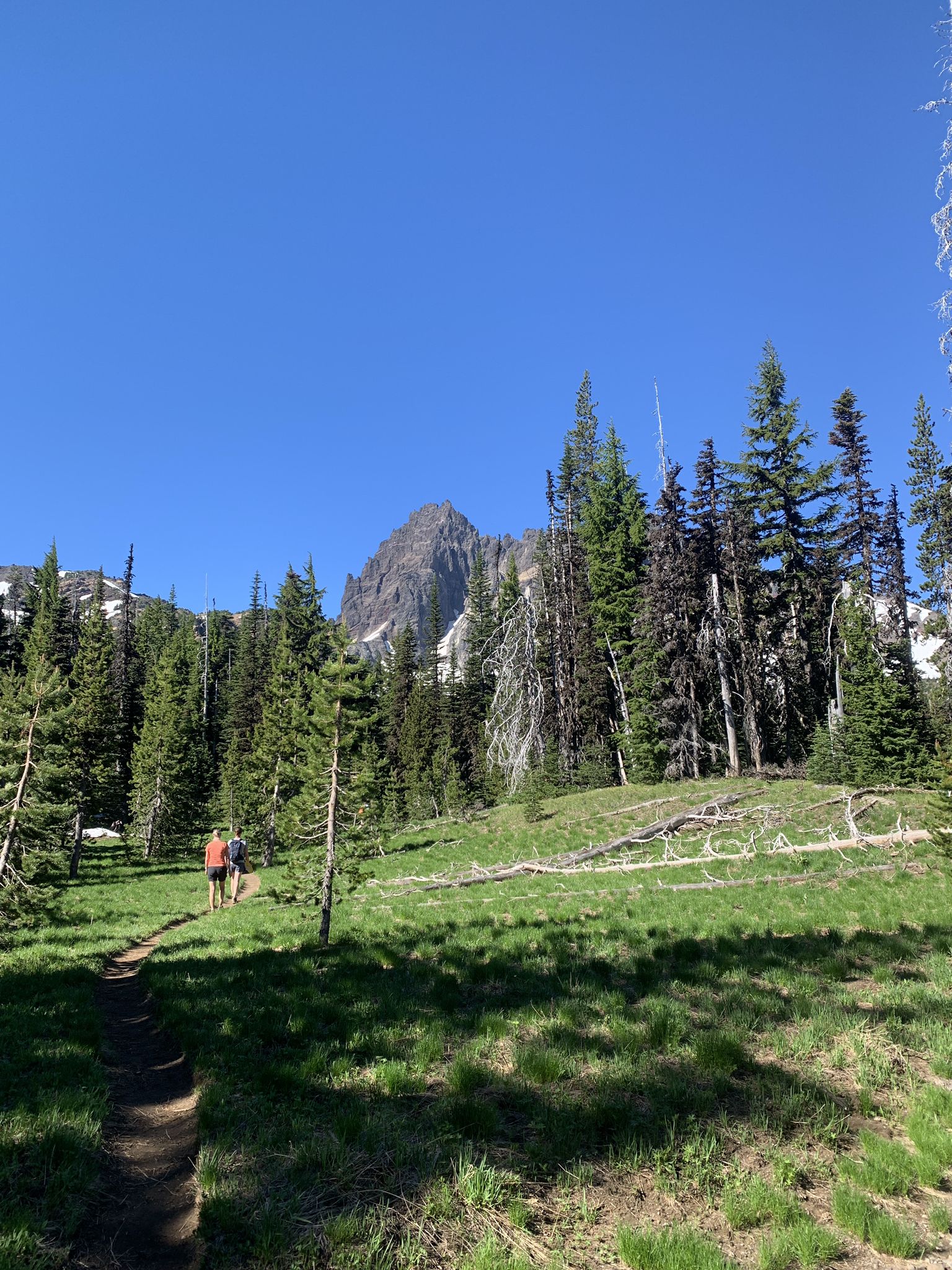 Two hikers on a sunny dirt trail through a forest with a distant mountain. - Canyon Creek Meadows Loop Trail