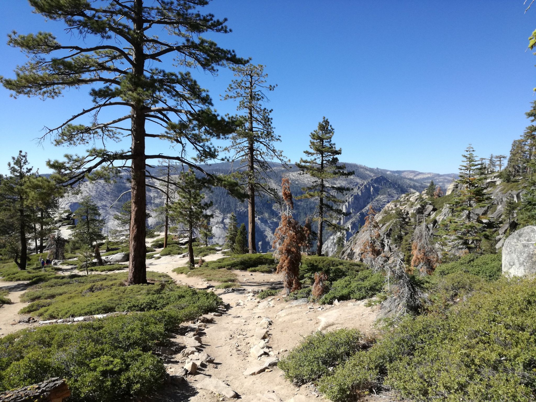 A dirt path winding through pine trees with distant rocky mountains. - Sentinel Dome, Sentinel Creek and Taft Point from Glacier Point Trailhead