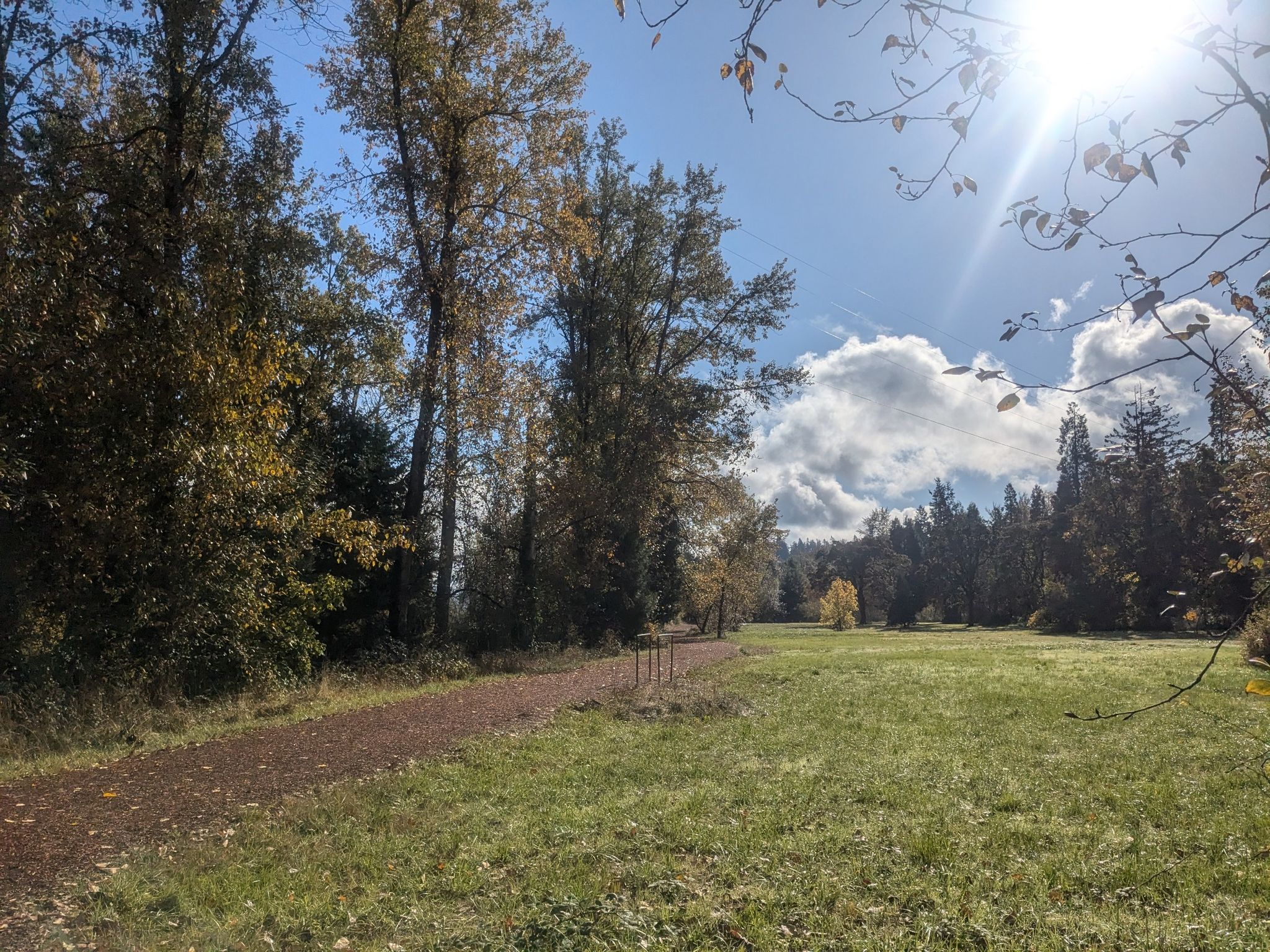 Sunny dirt path next to a green field and tall trees. - Pre's Trail