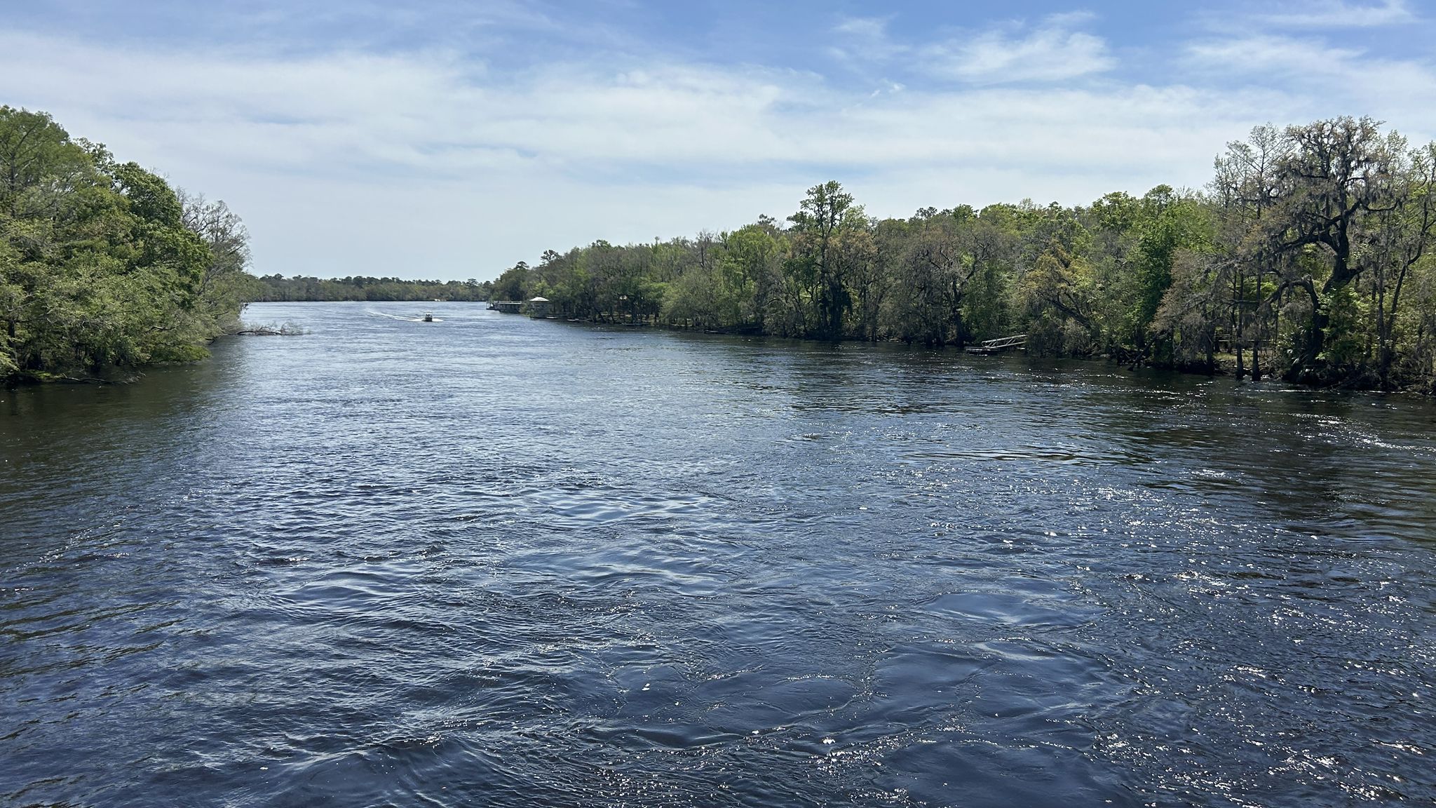 Wide river with forested banks under a bright, cloudy sky. A small boat. - Nature Coast State Trail