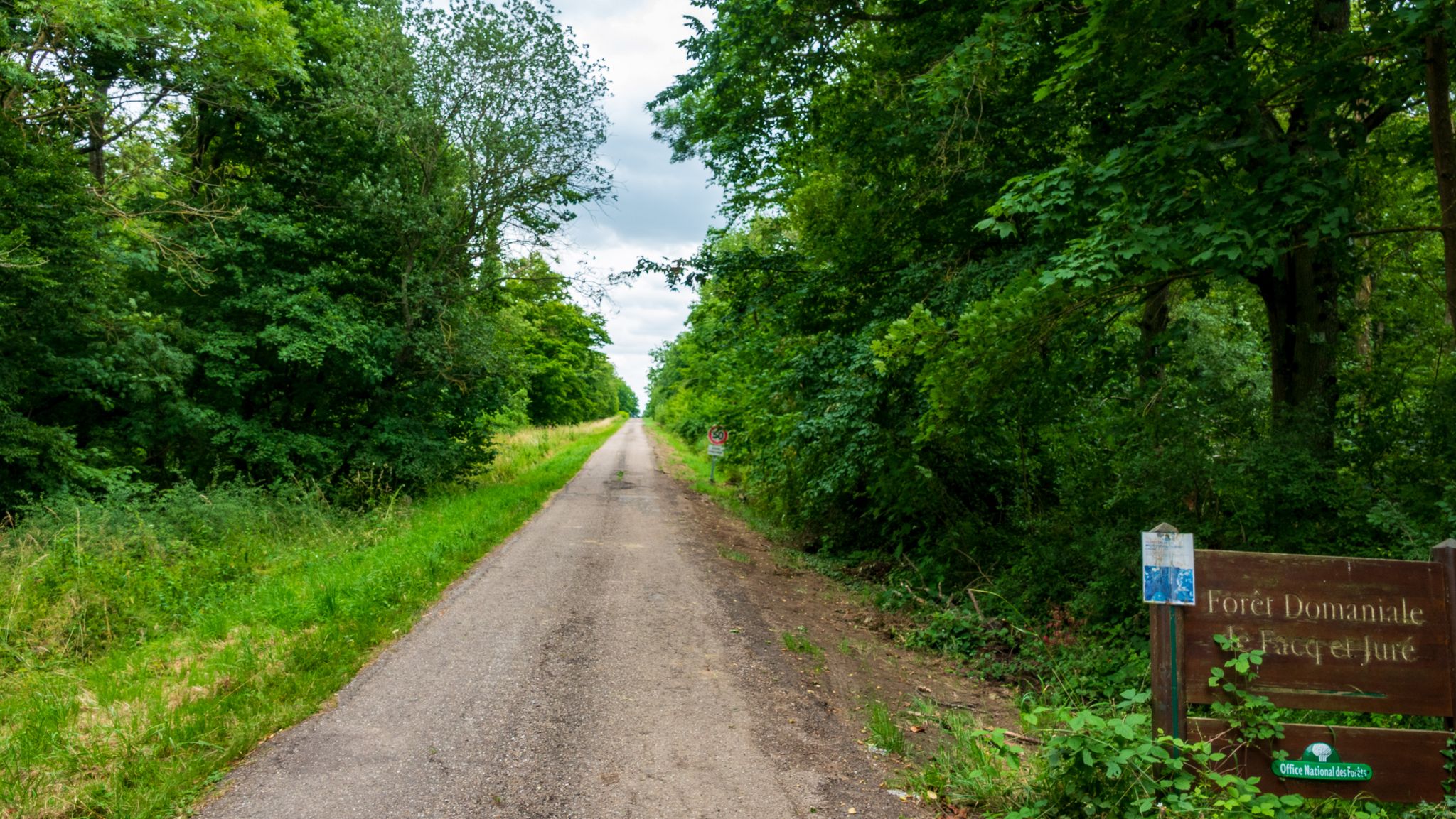 Forêt domaniale de Facq et Juré