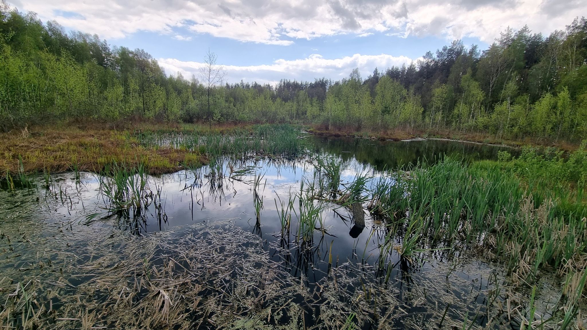 Darfs noch ein bisschen Moor sein?