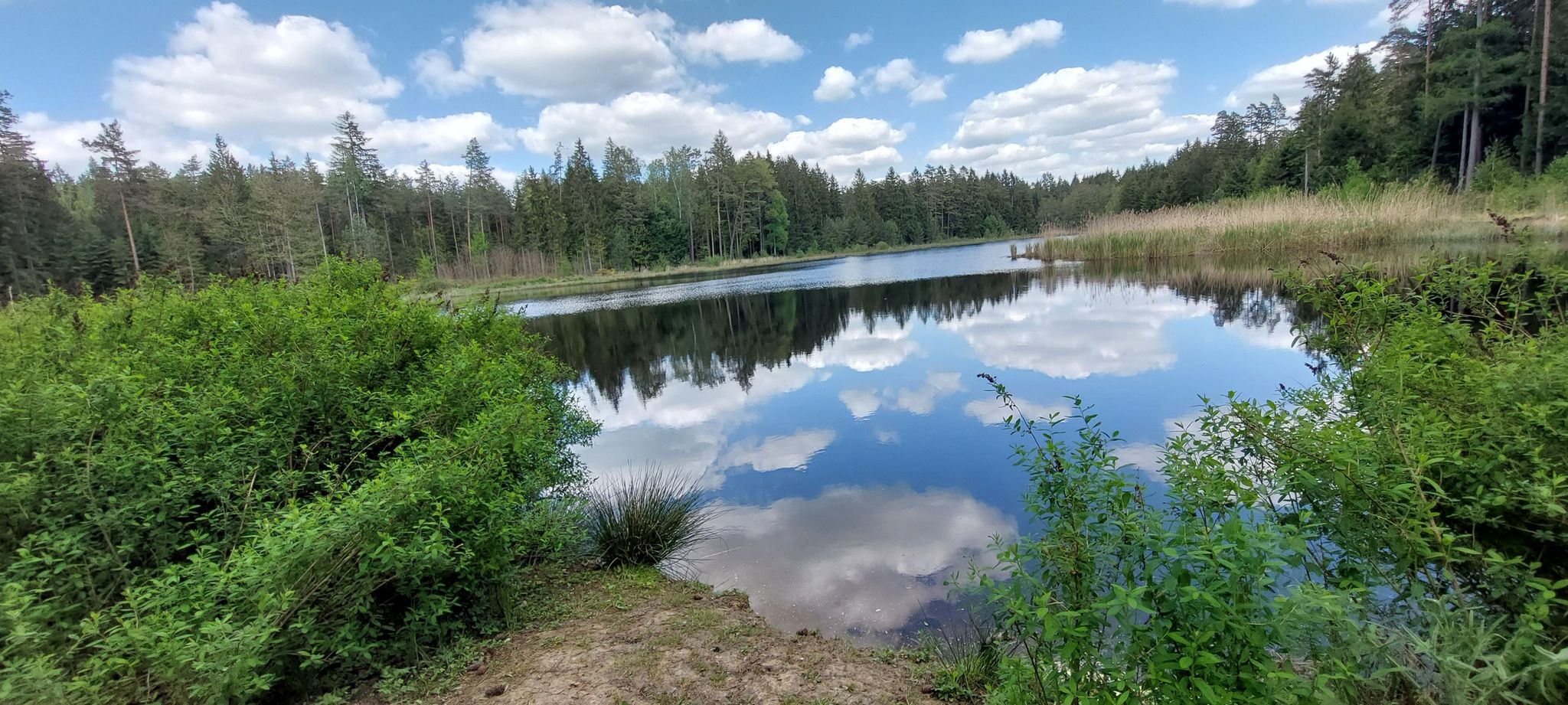 schön versteckt - der Reginasee