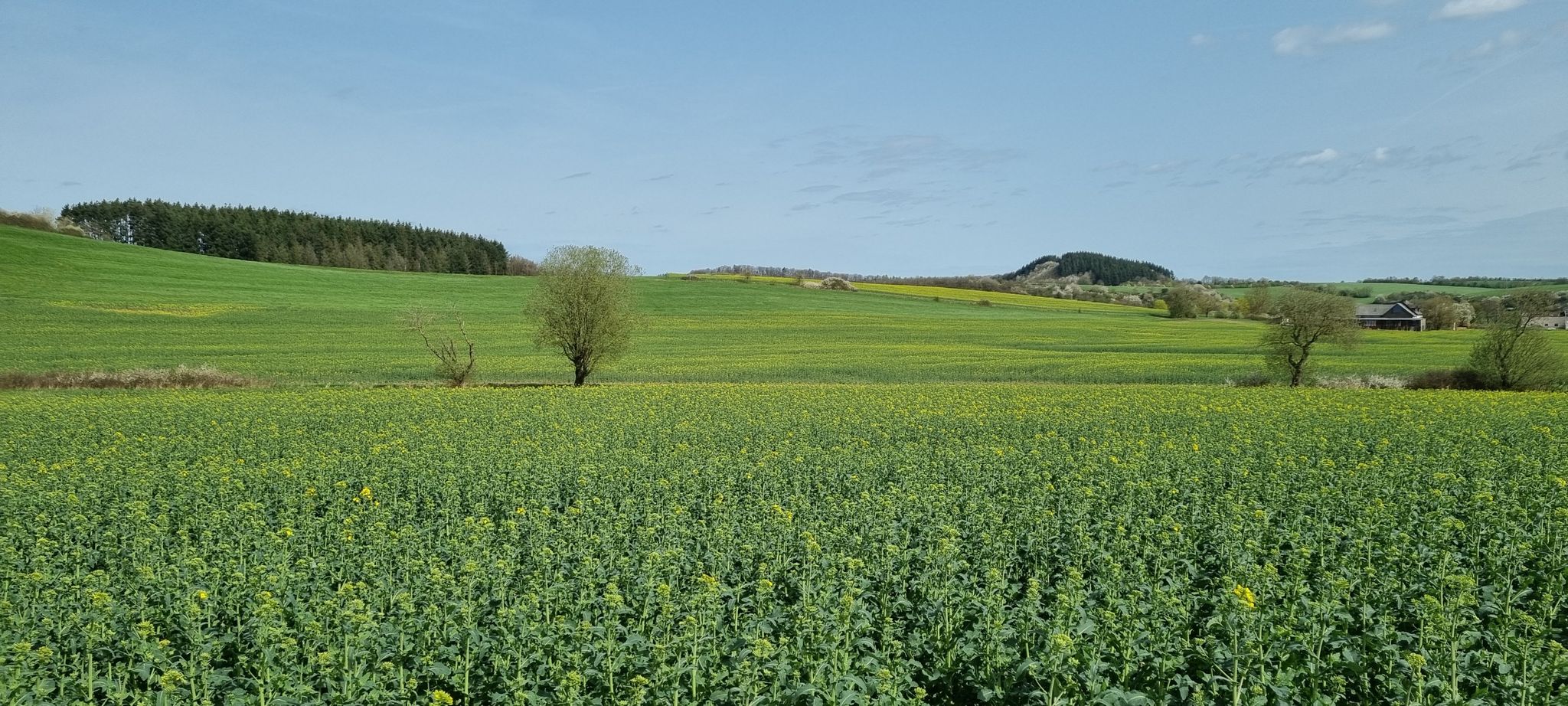 Rechts: Der Römerberg
