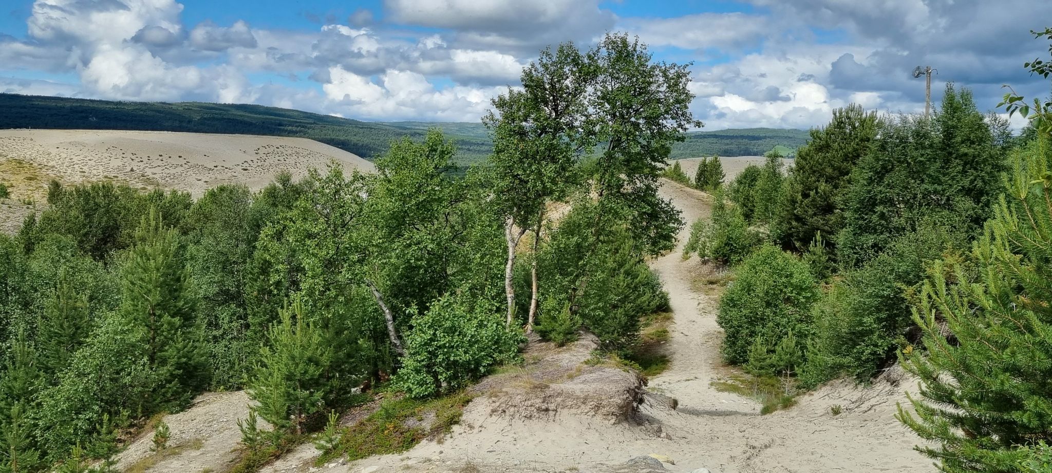 Kvitsanden