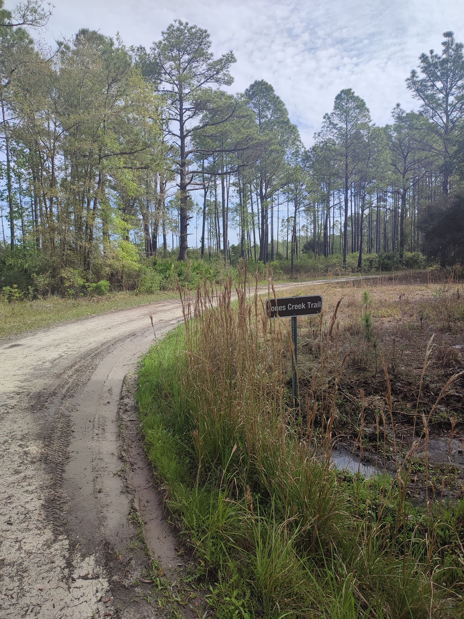 vom Loop Trail auf den Jones Creek Trail