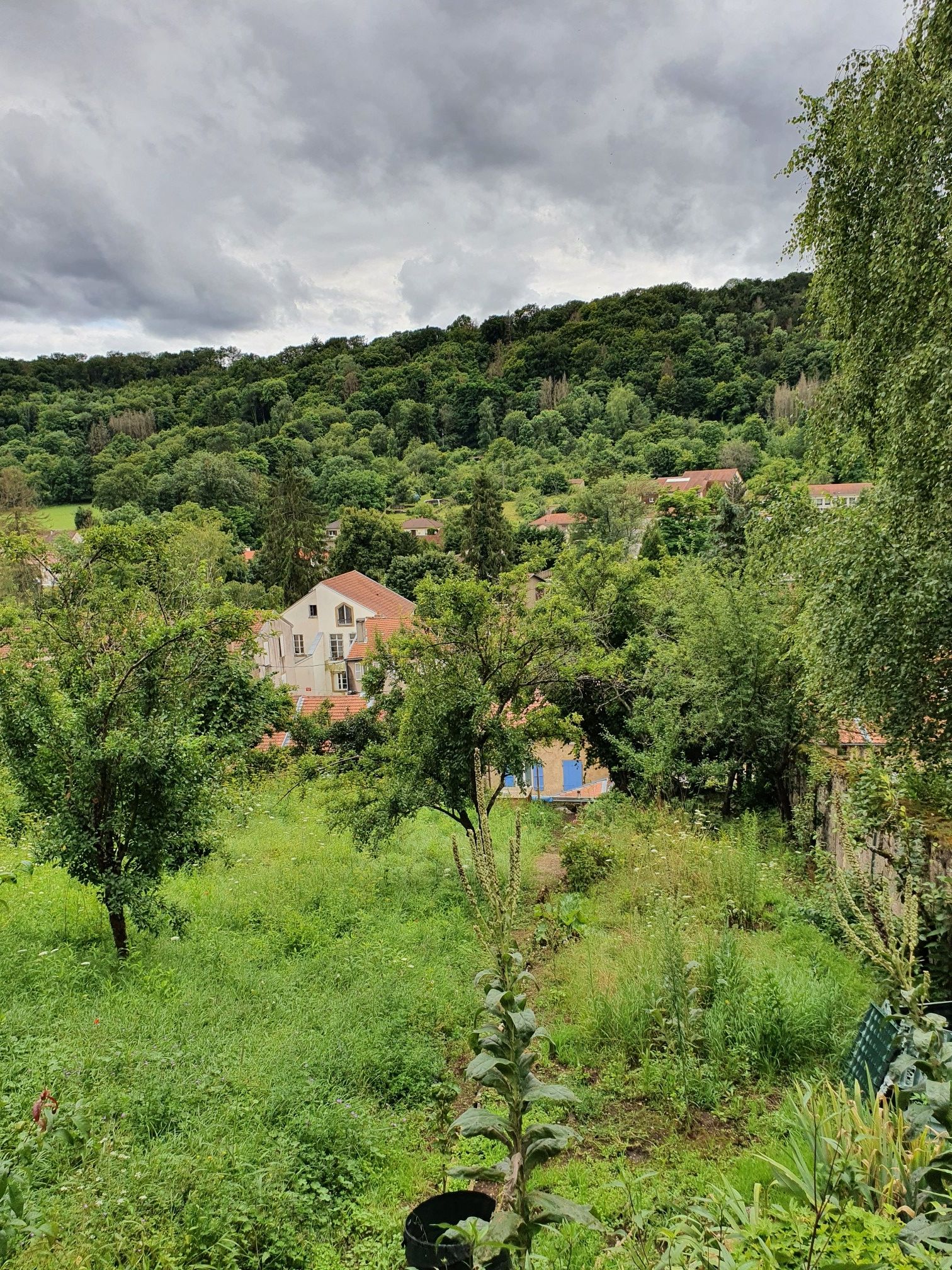 Gorze