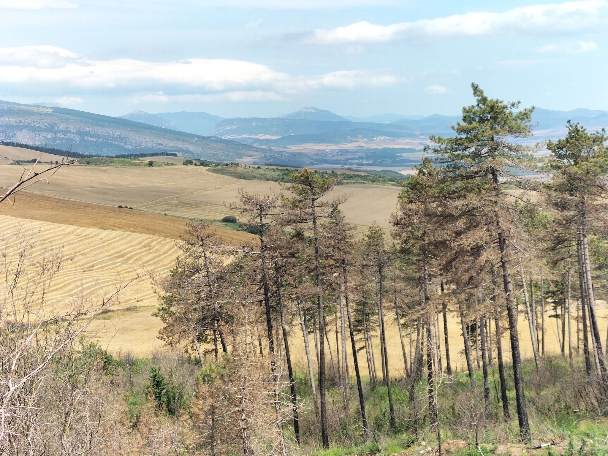 Vue sur la sierra del Perdón