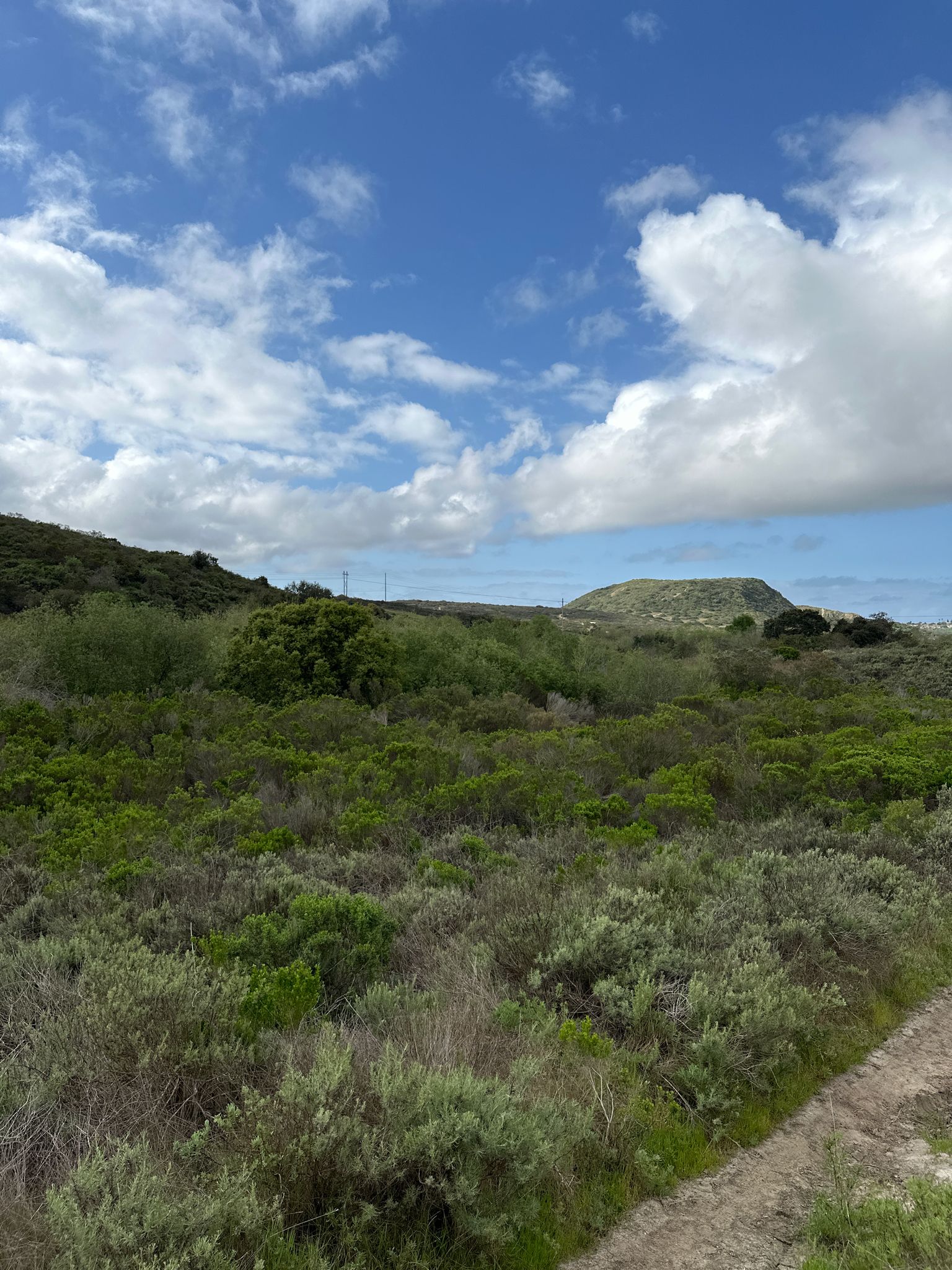 Vast green shrubland under a bright, partly cloudy sky with a dirt path. - Oak Riparian Loop Trail