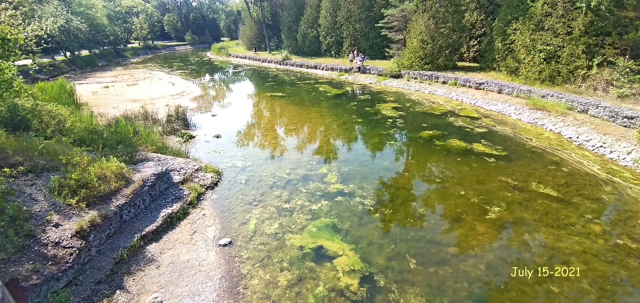 All that algae was not there only one month ago