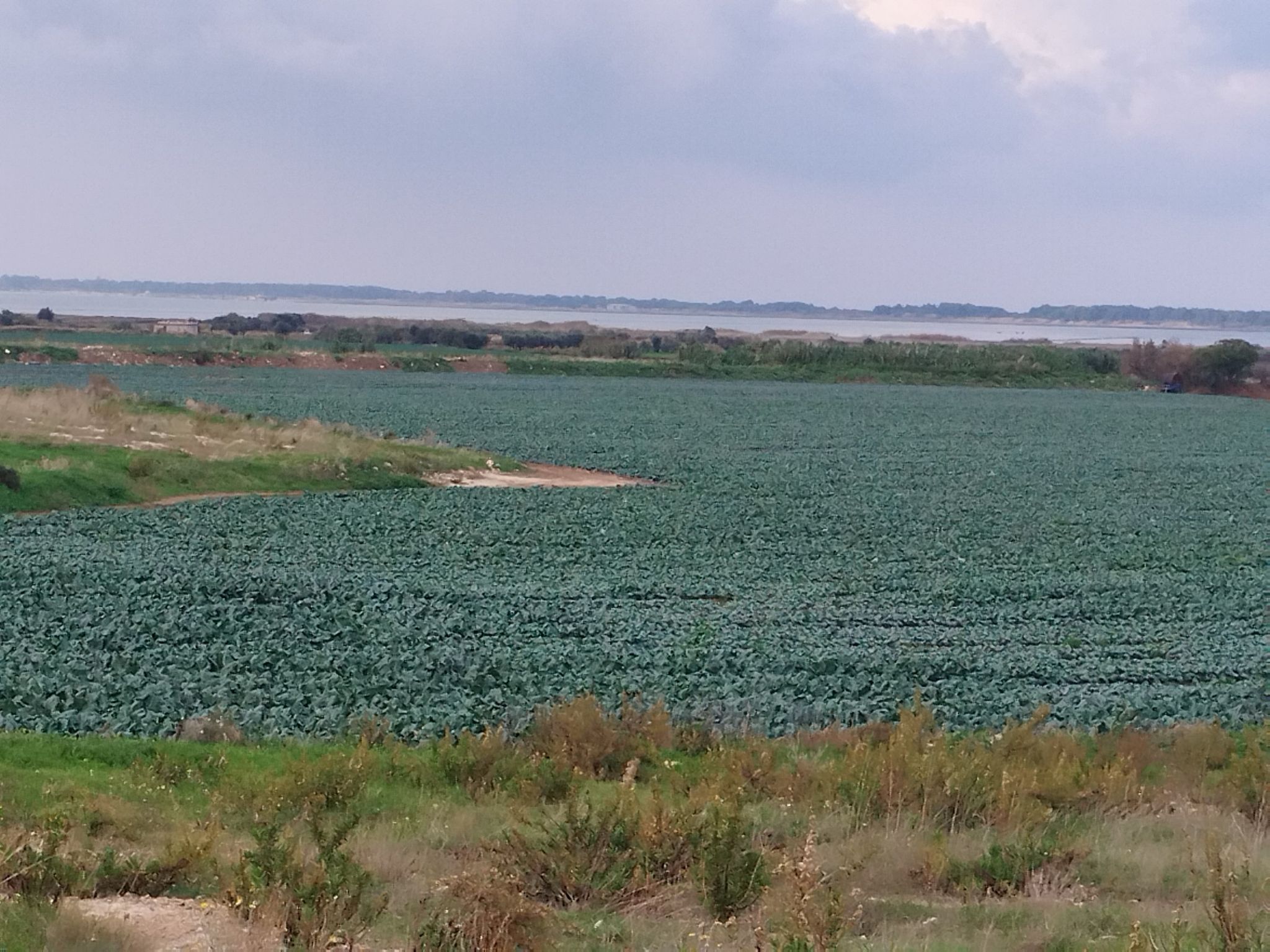 Blick zum Lesinasee