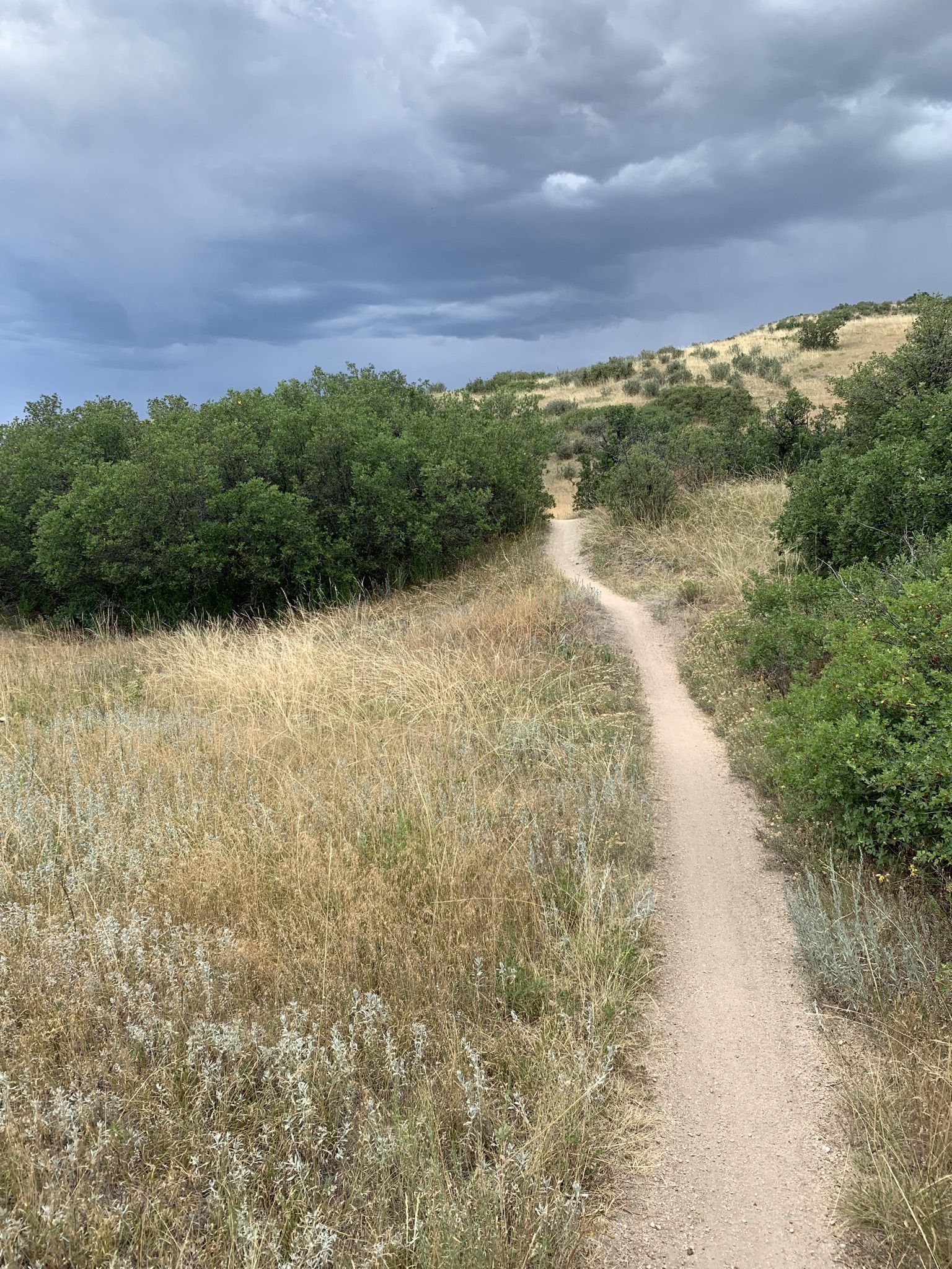 Winding dirt trail through dry grass and green bushes under cloudy sky. - East/West Regional Trail and Dad Clark Trail Loop