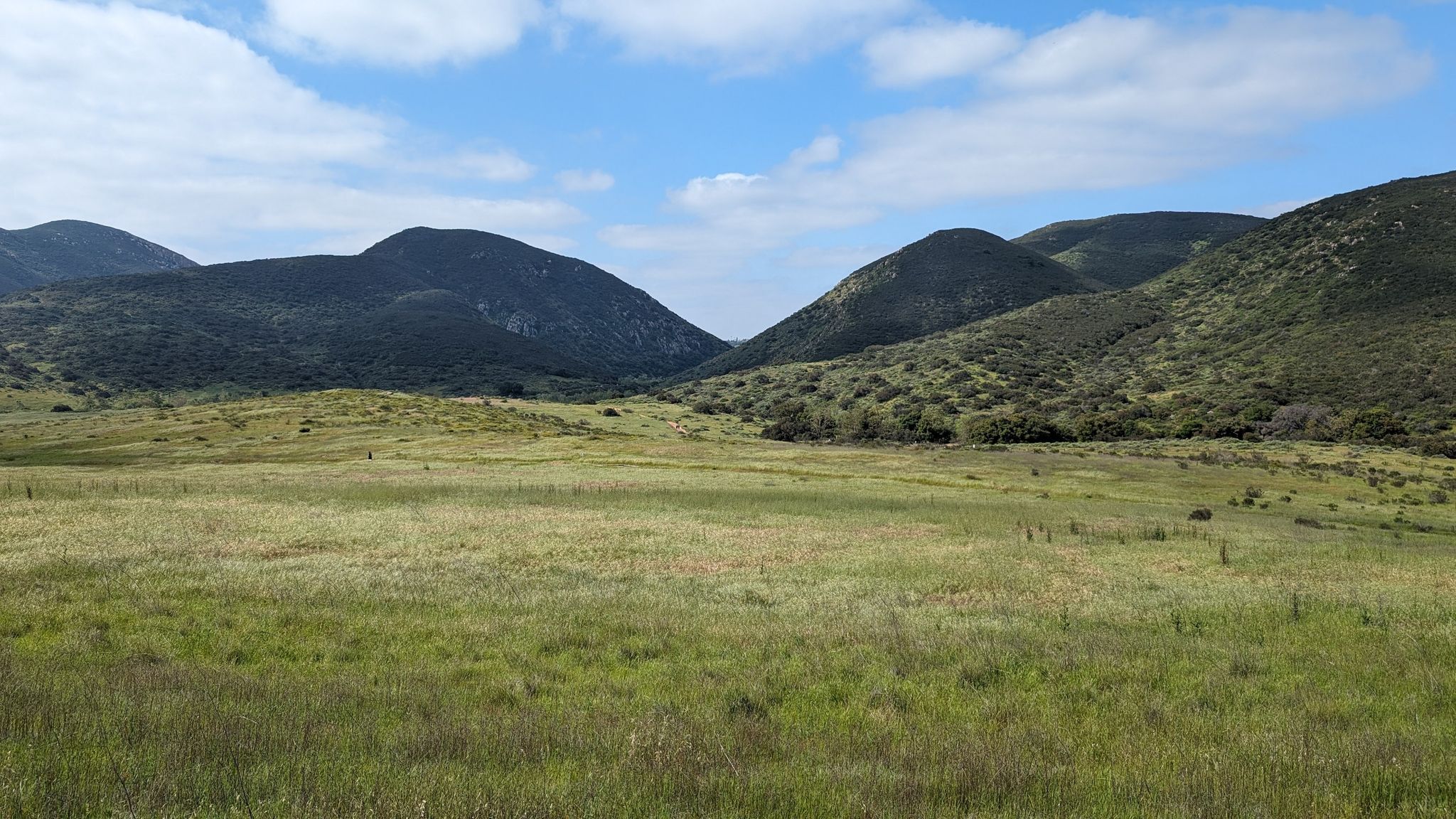 Expansive green valley with distant mountains under a bright, cloudy sky. - Oak Canyon Loop Trail