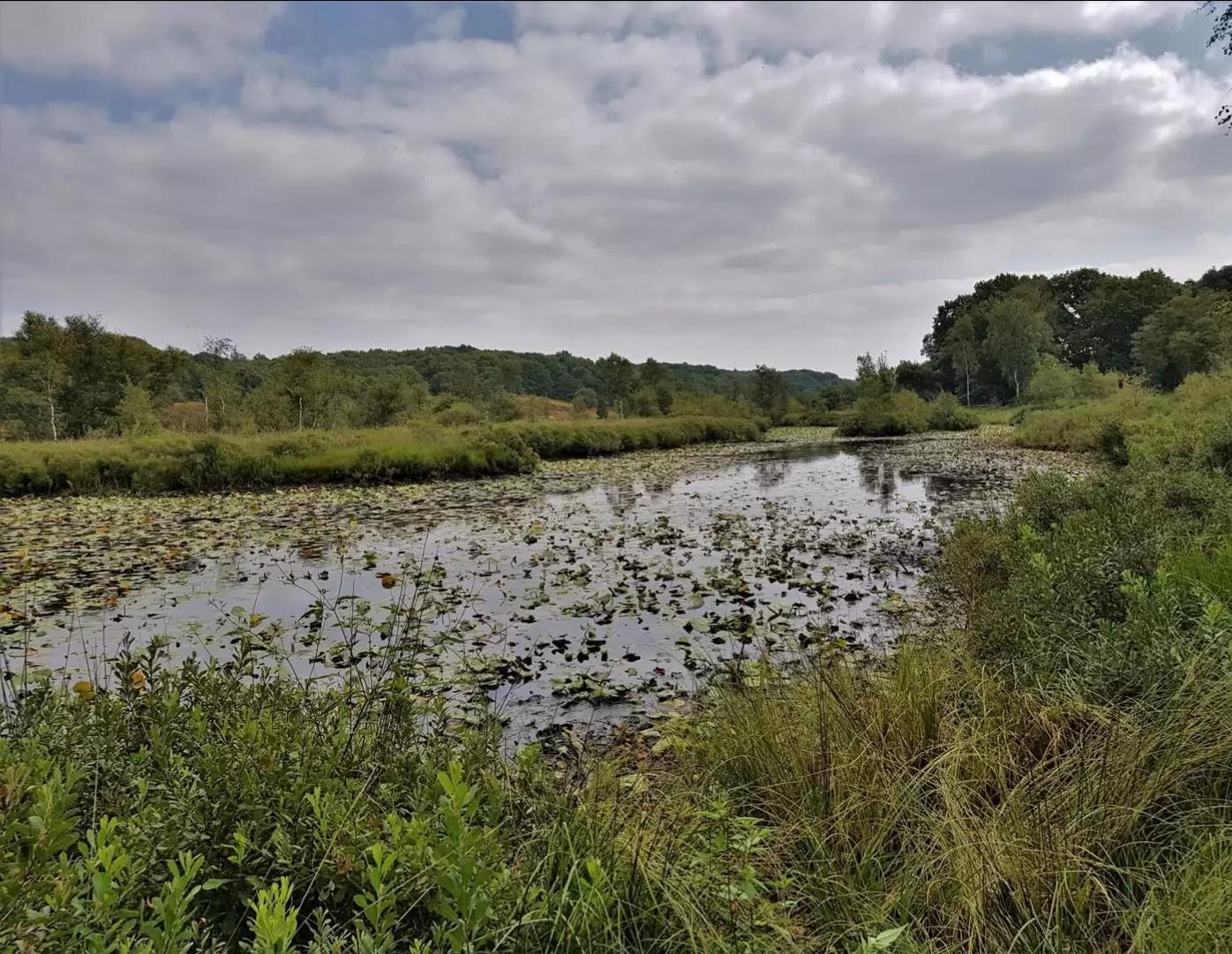 O que fazer em Naturschutzgebiet Fuhsetal