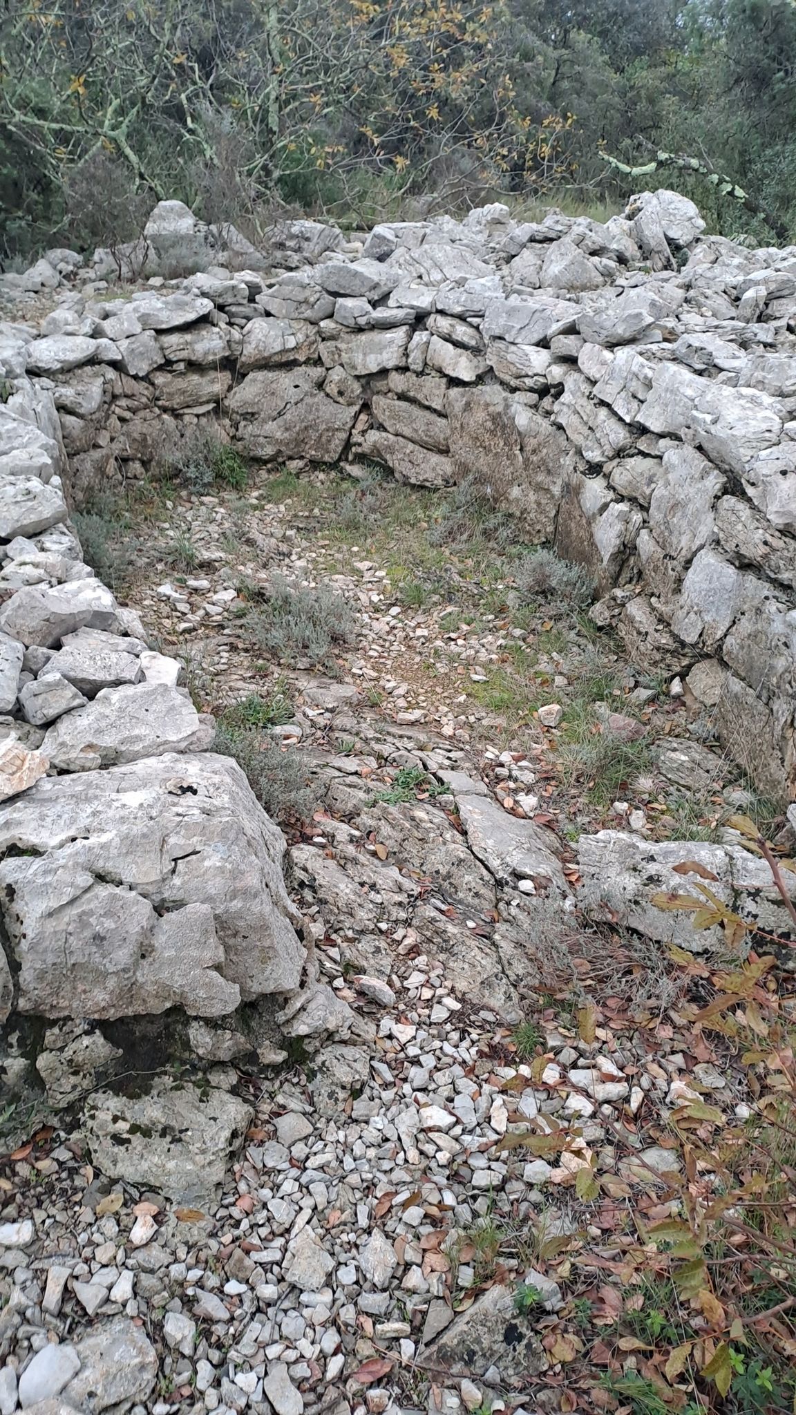 tombe ovale
