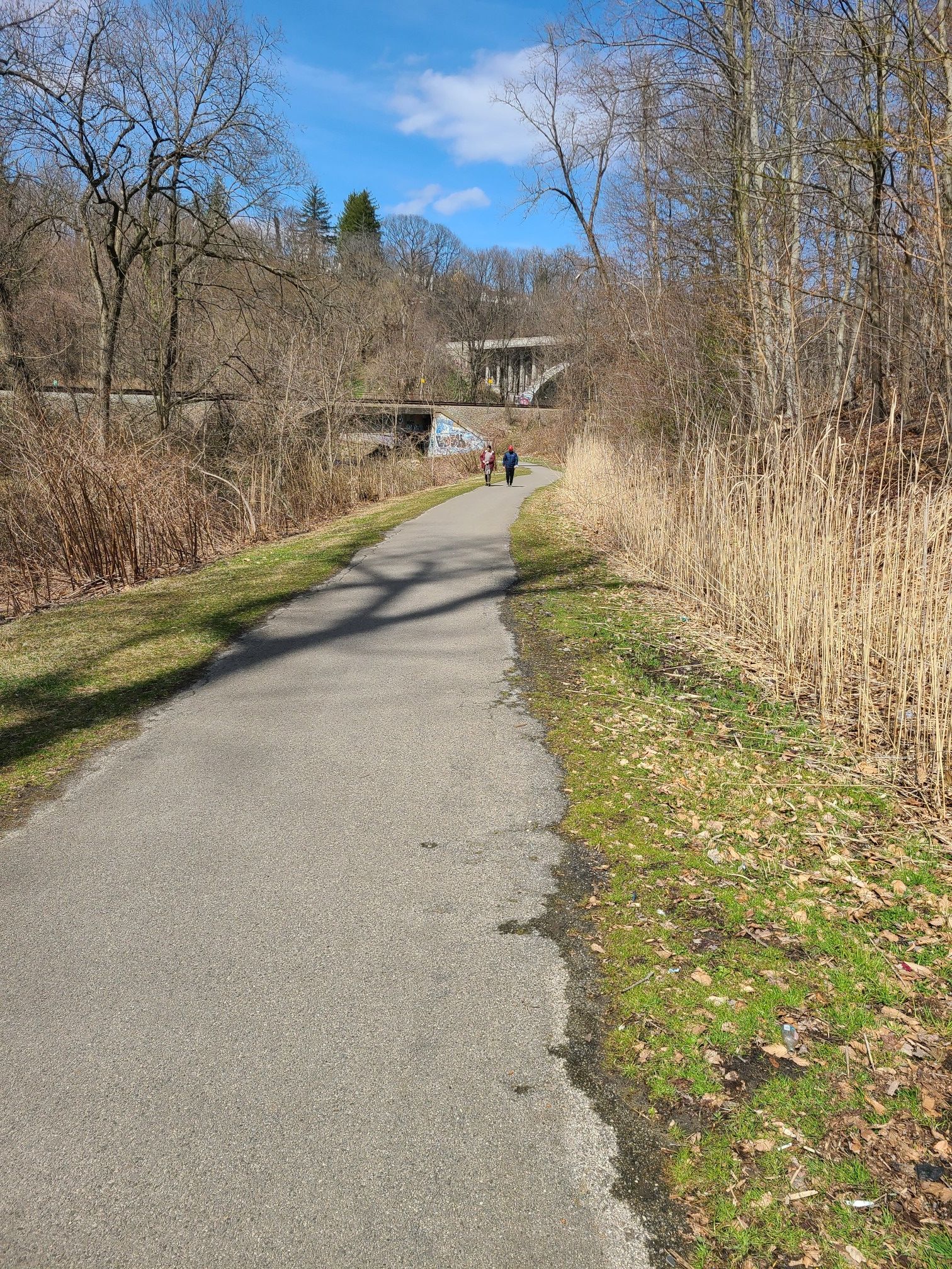 Paved path with two distant walkers, surrounded by bare trees and dry grass. - Bronx River Pathway – Bronx River Pathway loop from White Plains