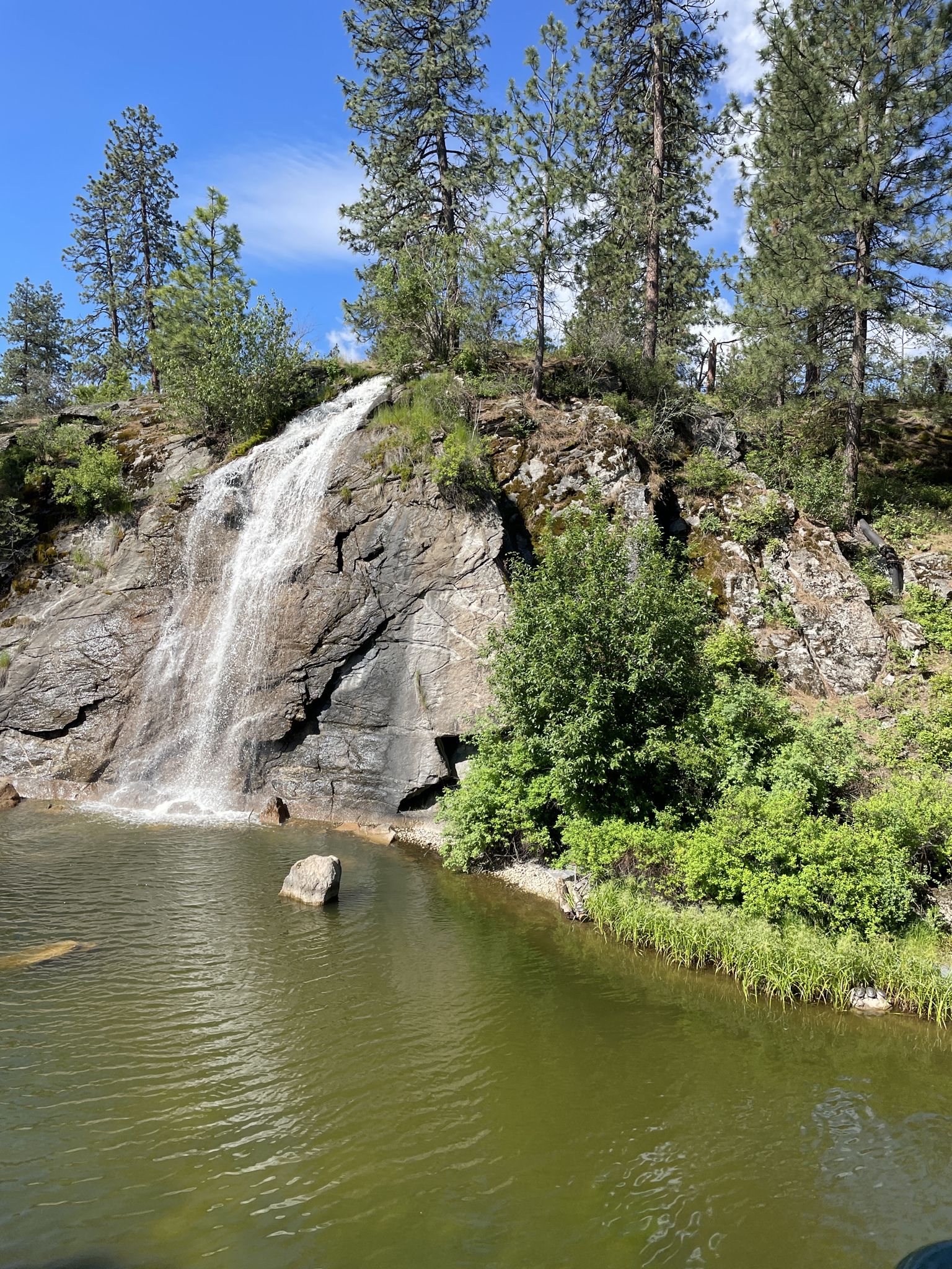 Waterfall cascades over a rocky cliff into green water, surrounded by pine trees. - Mirabeau Trail and Spokane River Centennial Trail Loop