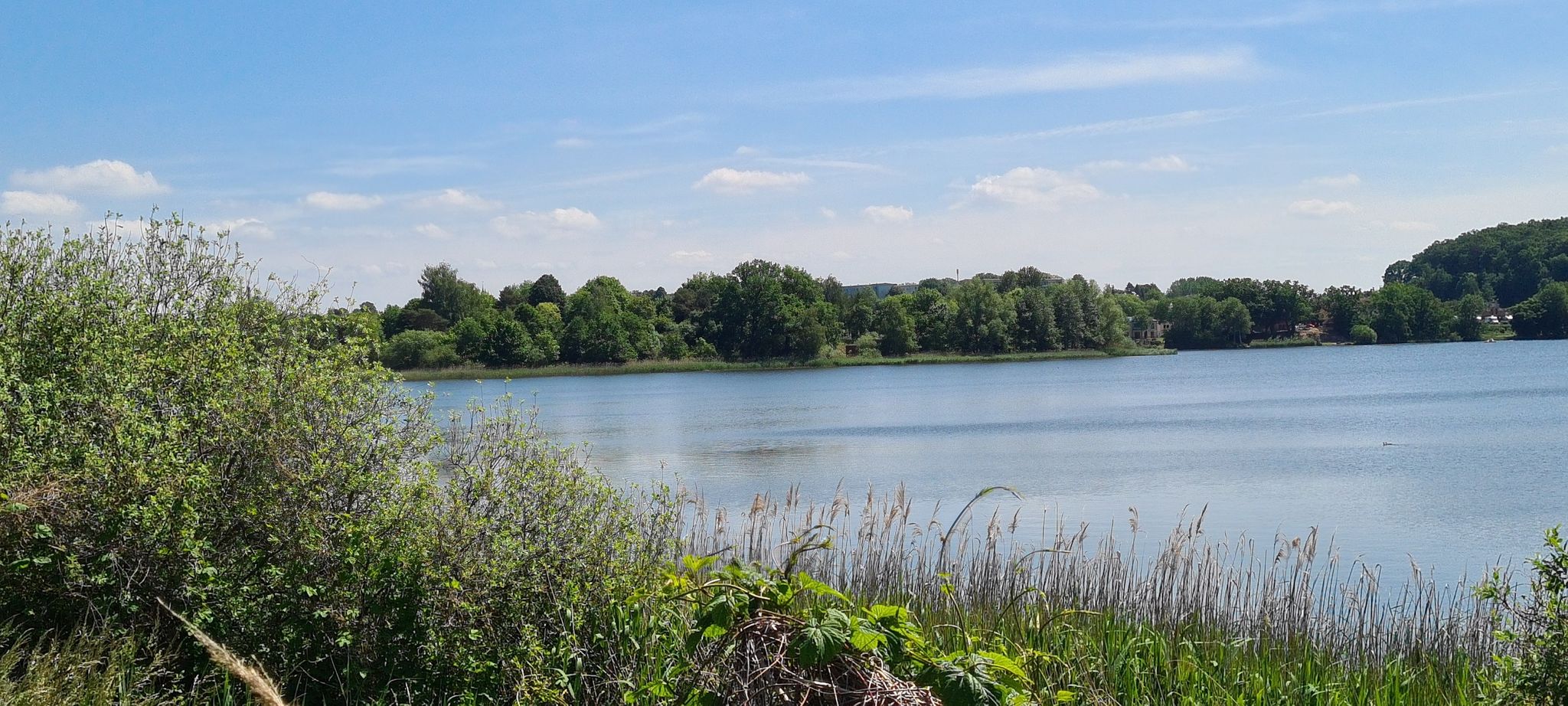 Blick auf die Insel im See