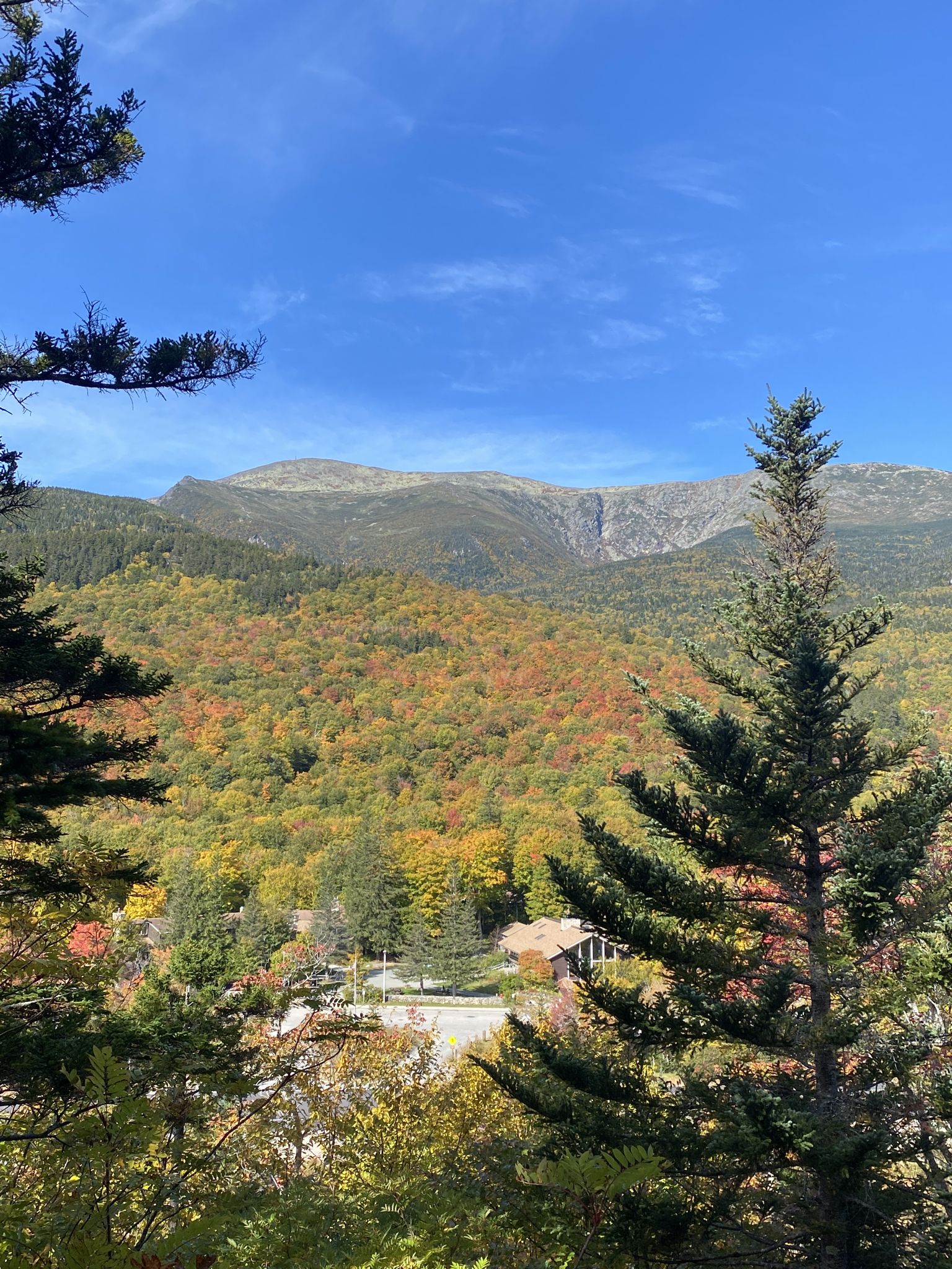 Blick zum Mount Washington vom „Ladys Lookout“