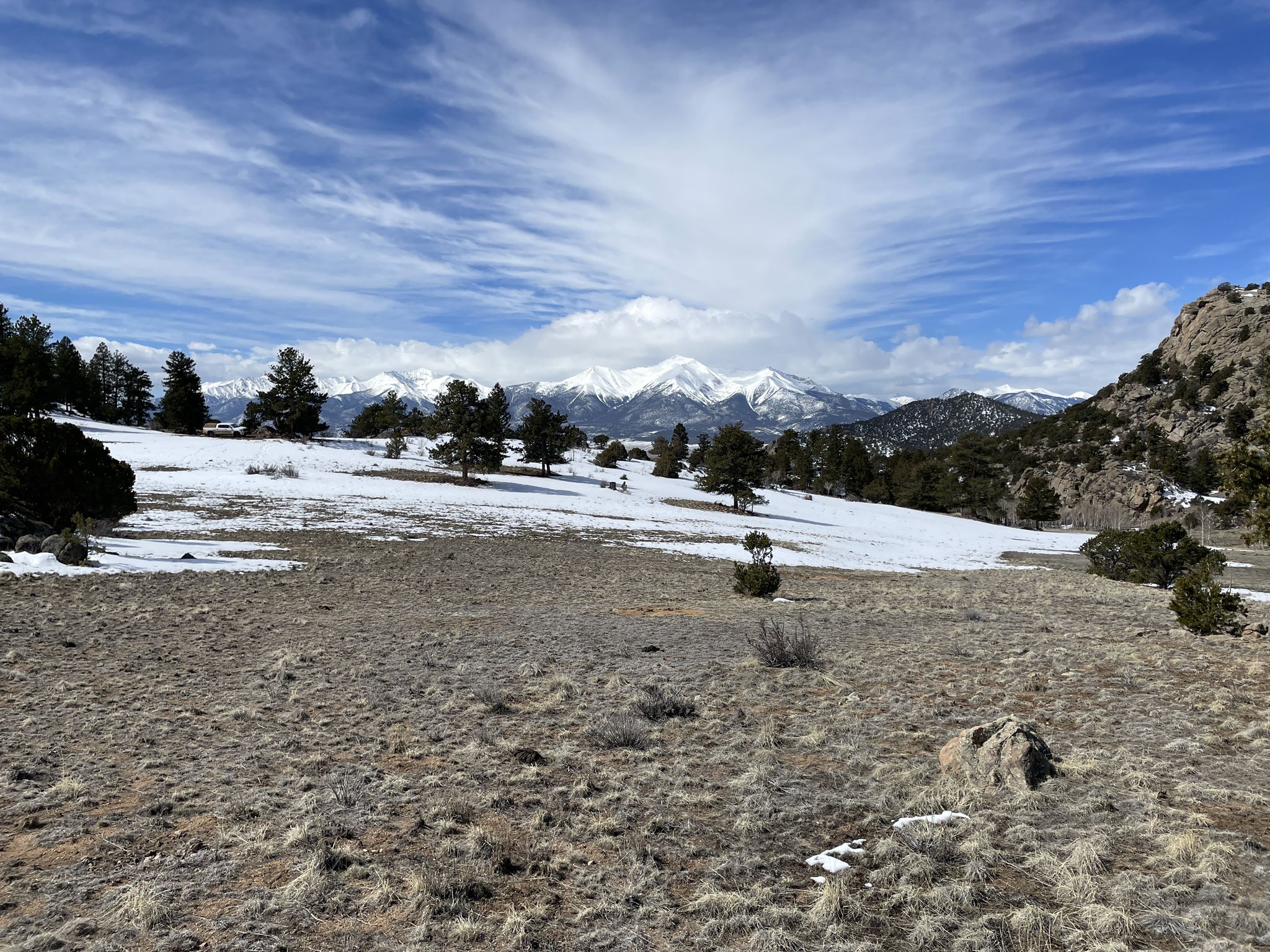 Snowy field with scattered pine trees and distant snow-capped mountains under a cloudy sky. - Midland Bike Trail Loop