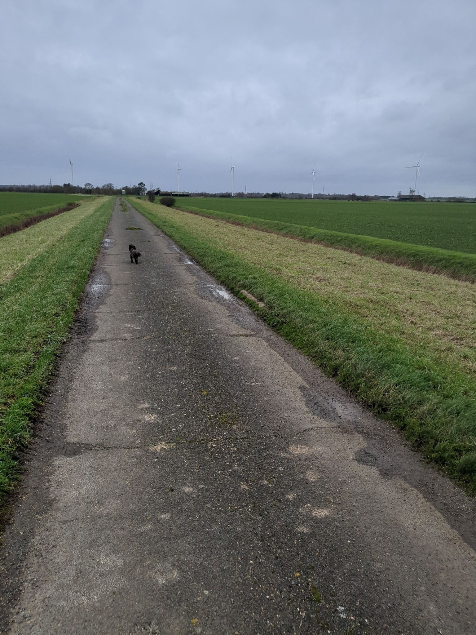 St Peter's Way