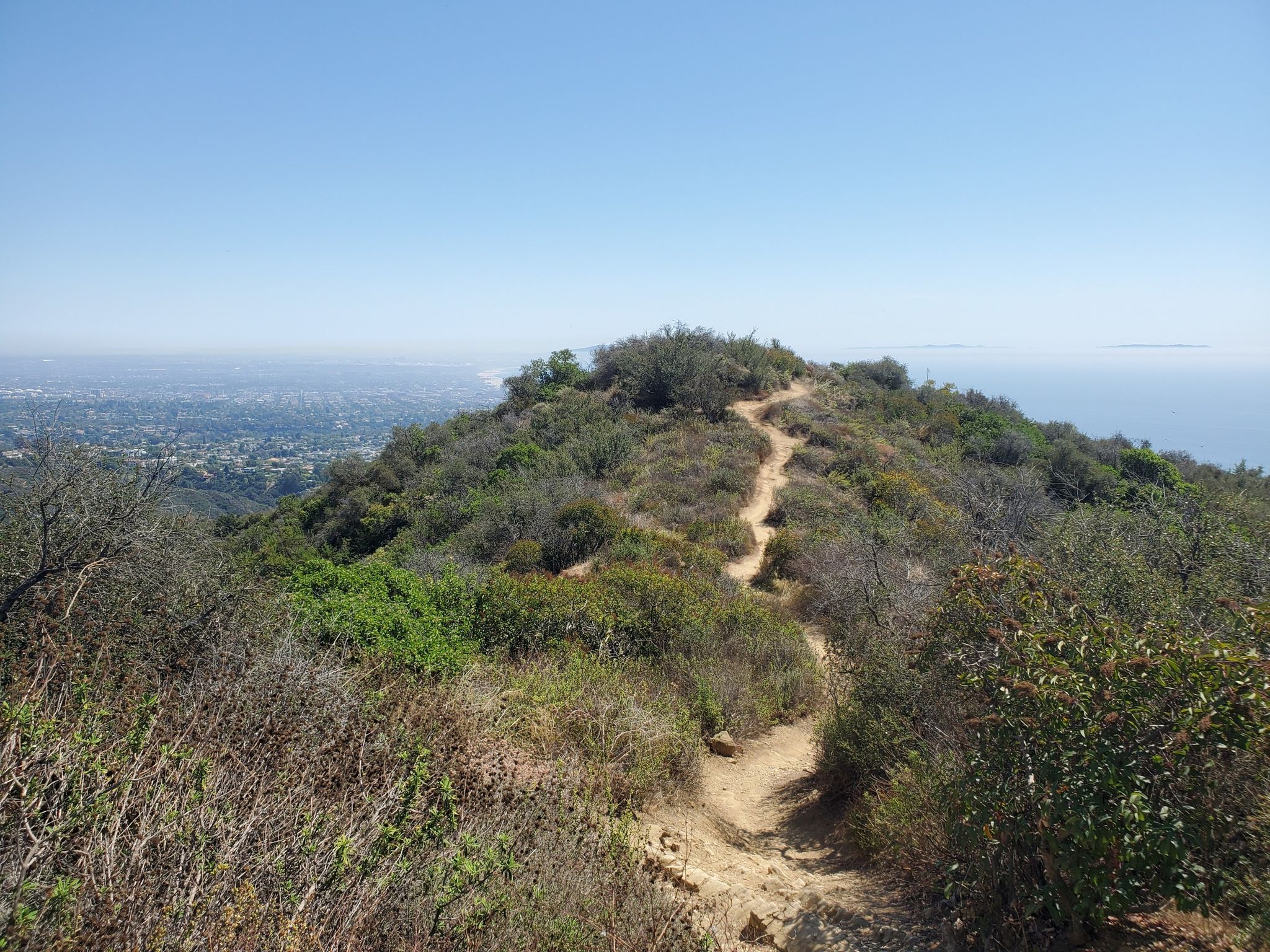 A winding dirt trail on a brush-covered hill, with a distant city and ocean. - Temescal Canyon Loop Trail