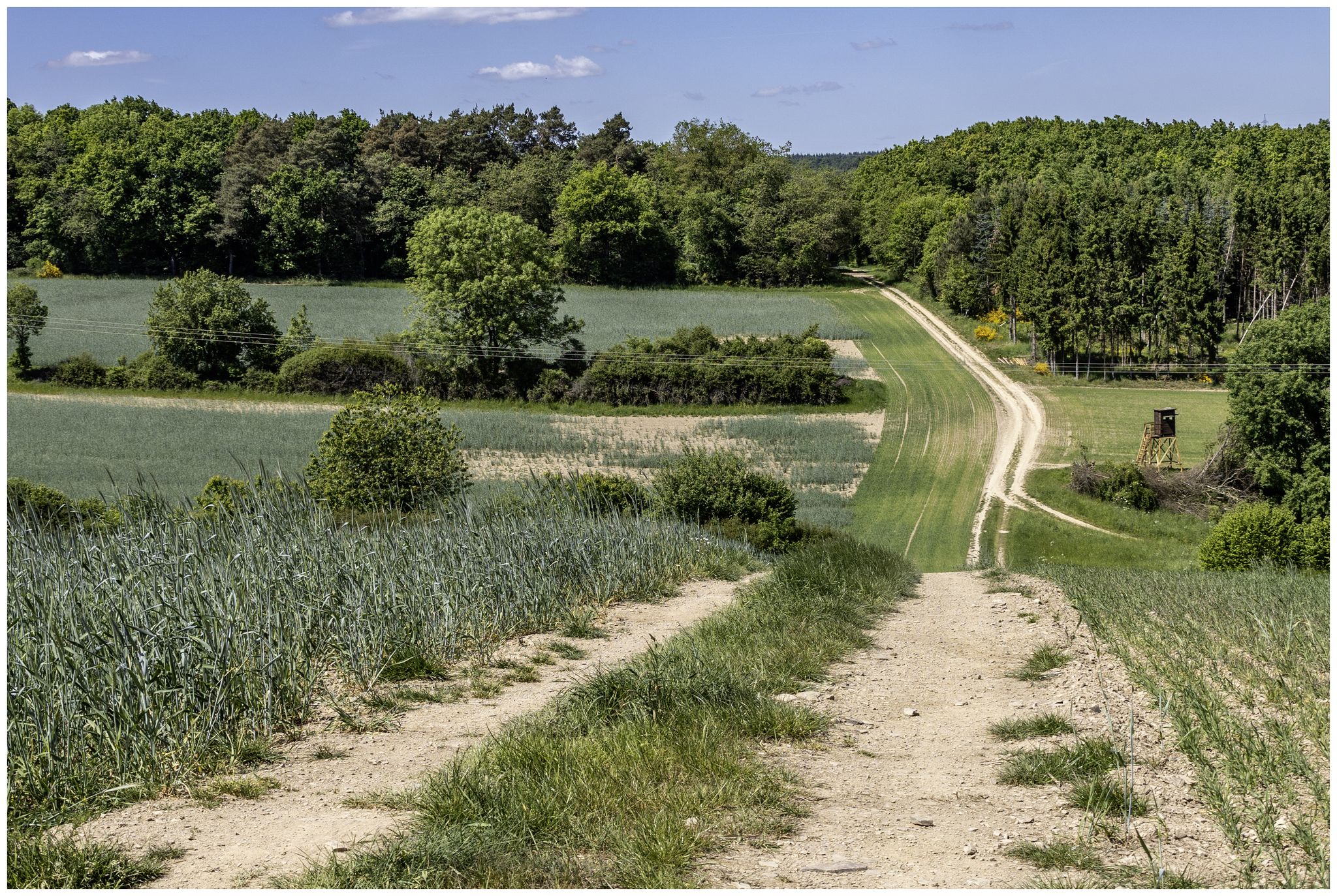 Ein Stück raus aus dem Wald und über freies Feld