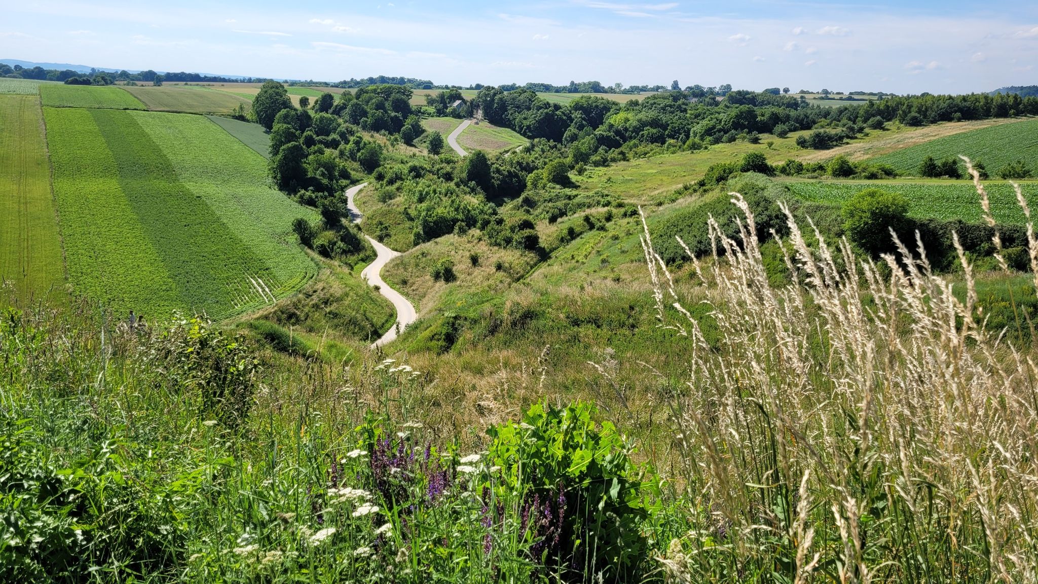 widok z Grodziska