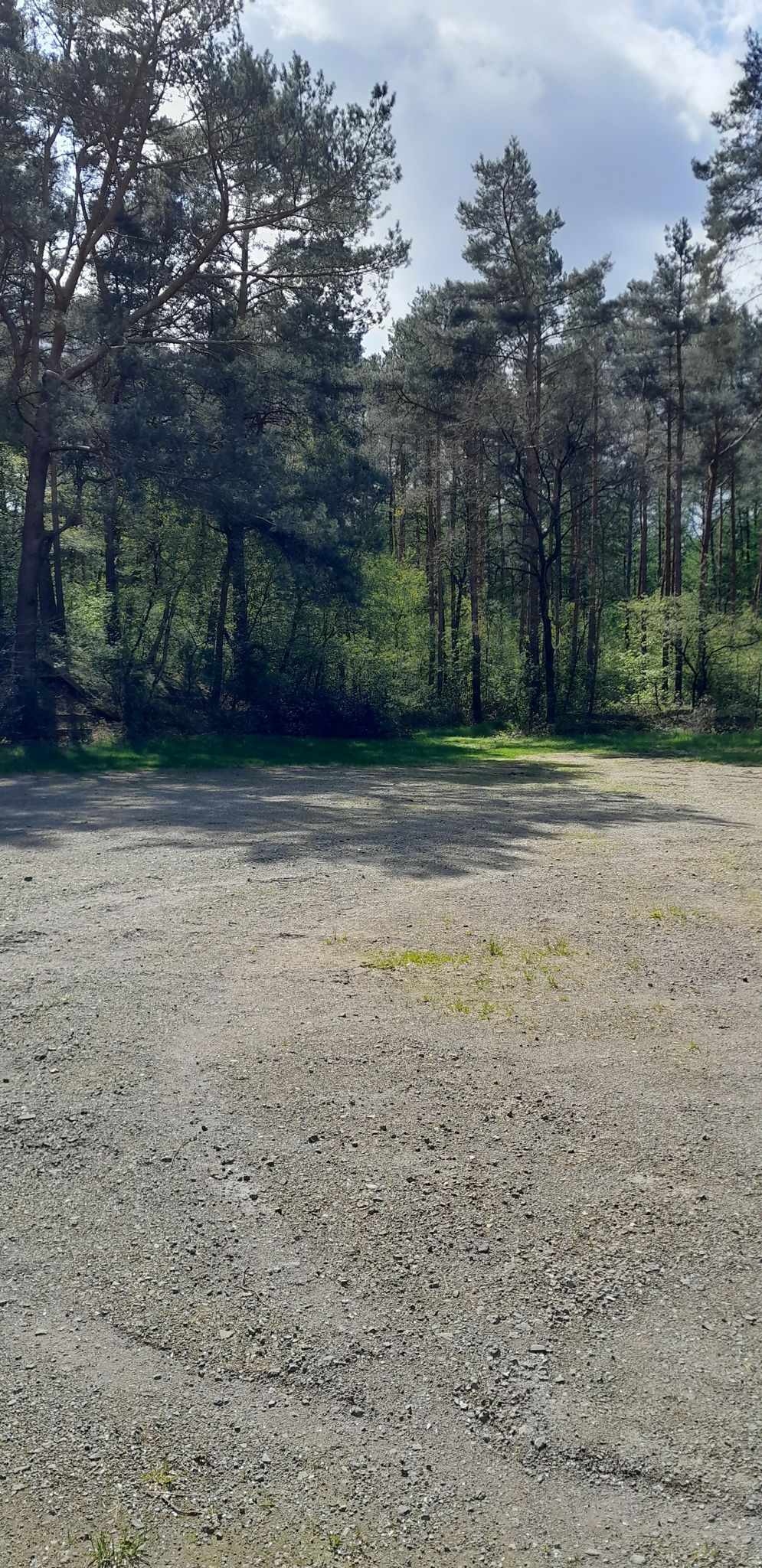 (Bus)Parkplatz Waldbühne Ahmsen