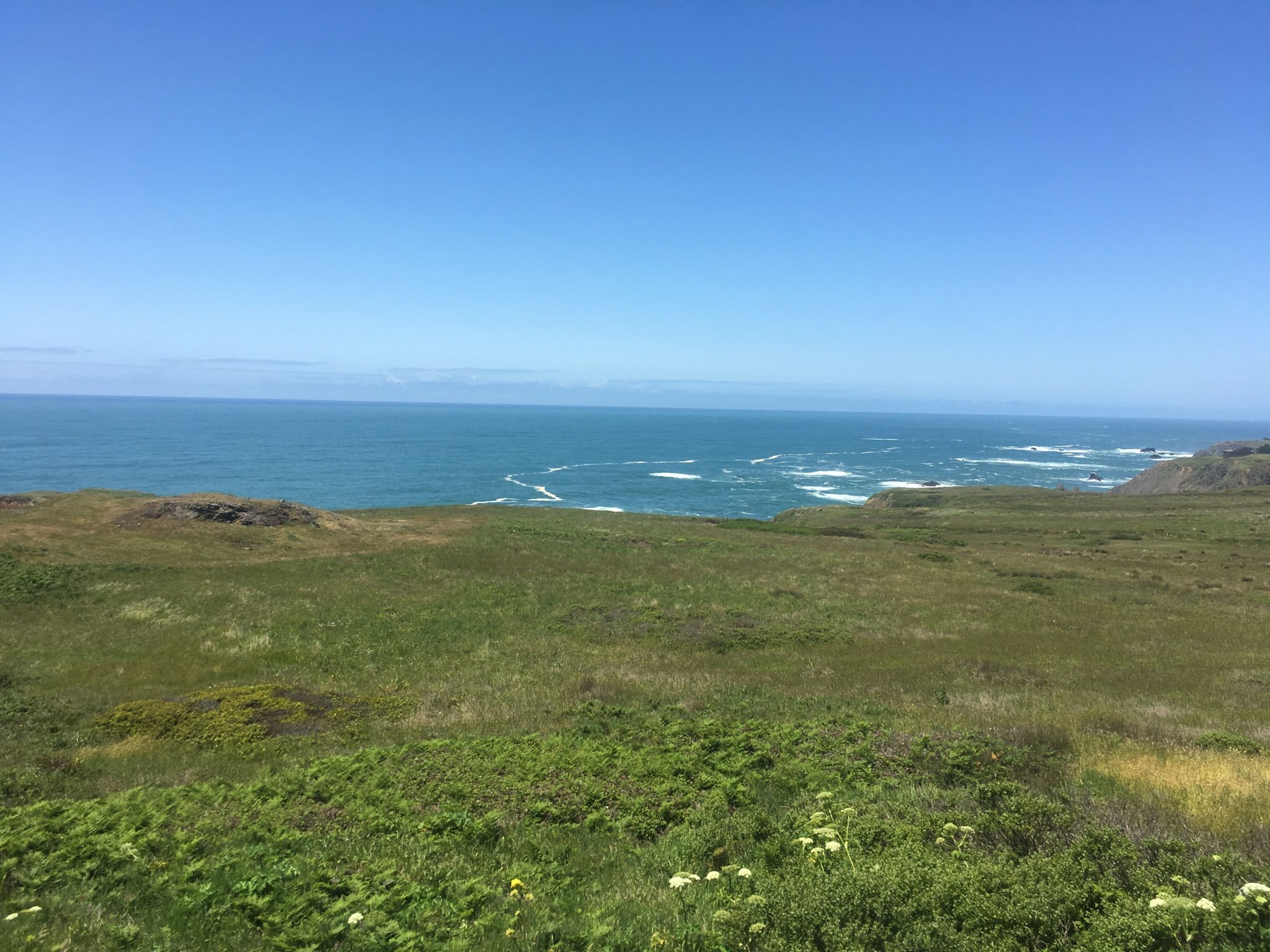 Green grassy coastal bluff overlooking a vast blue ocean under clear sky. - Albion River Bridge loop from North Fork Navarro River