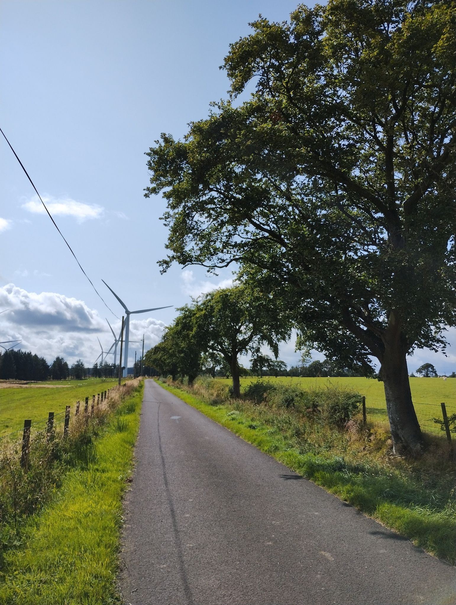 I thought I had cycled every road in the area, but this is a new one for me.